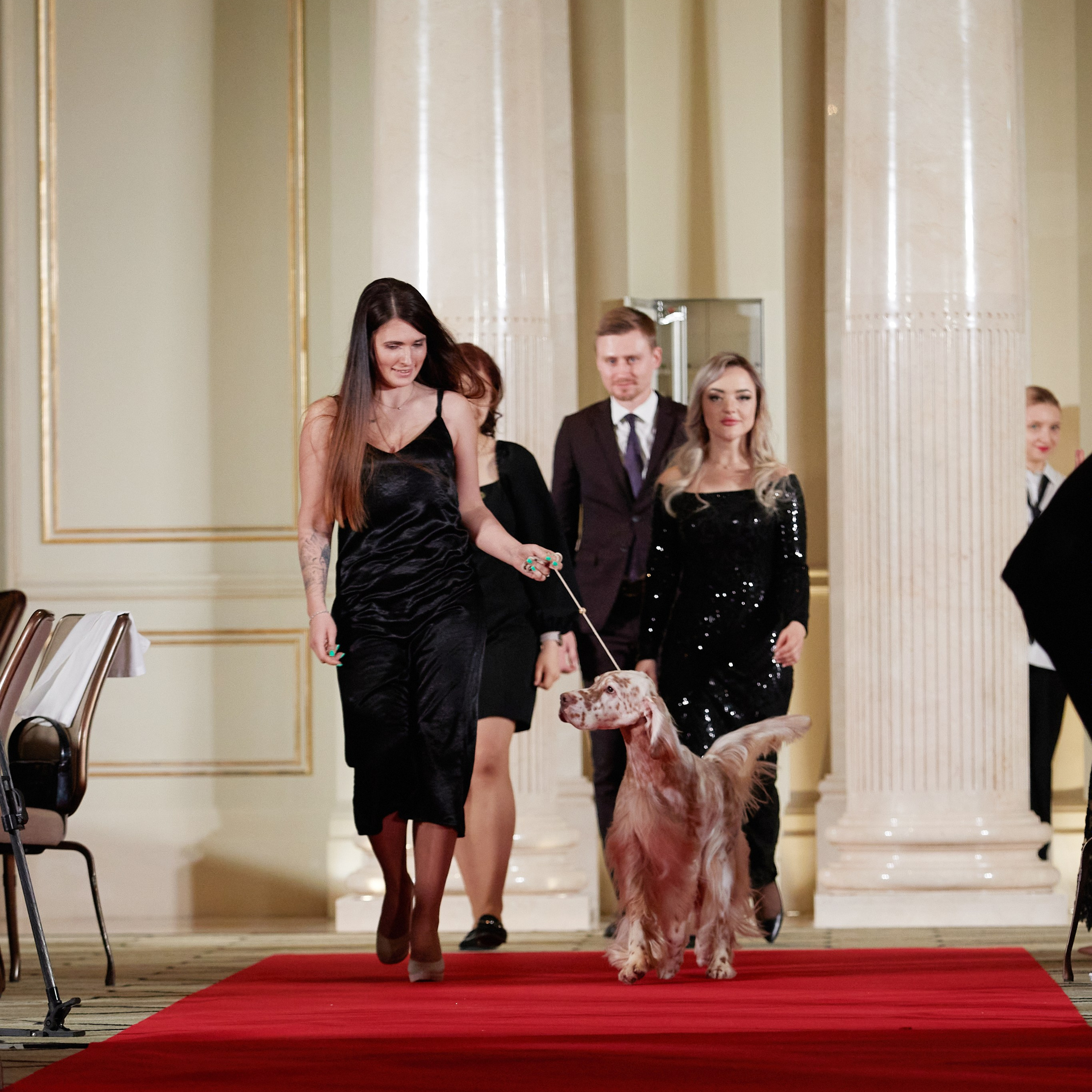 Репортаж с церемонии «BEST RUSSIAN DOG 2023». ФОТОГРАФ-АНИМАЛИСТ l LANA POLYAKOVA