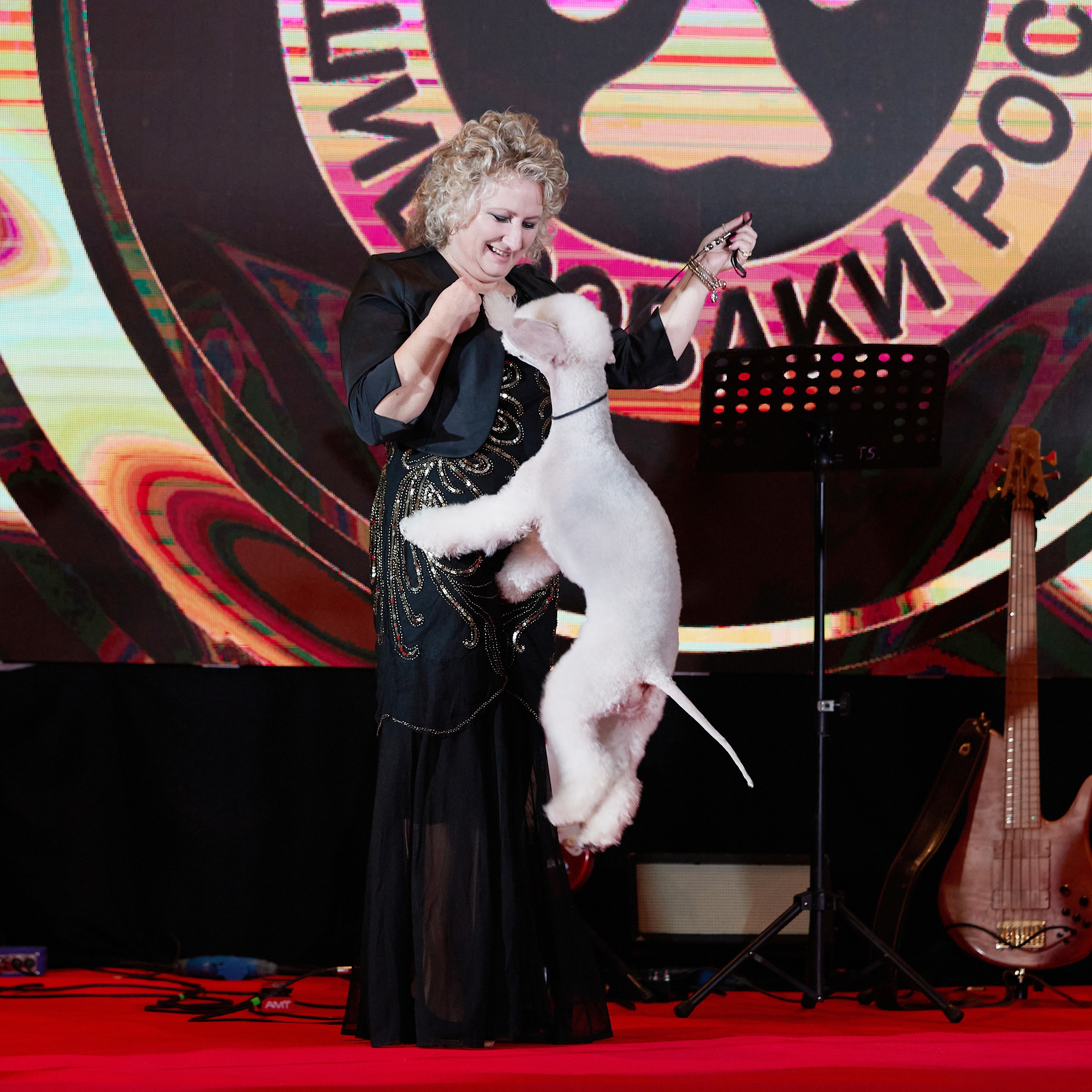 Репортаж с церемонии «BEST RUSSIAN DOG 2022». ФОТОГРАФ-АНИМАЛИСТ l LANA POLYAKOVA