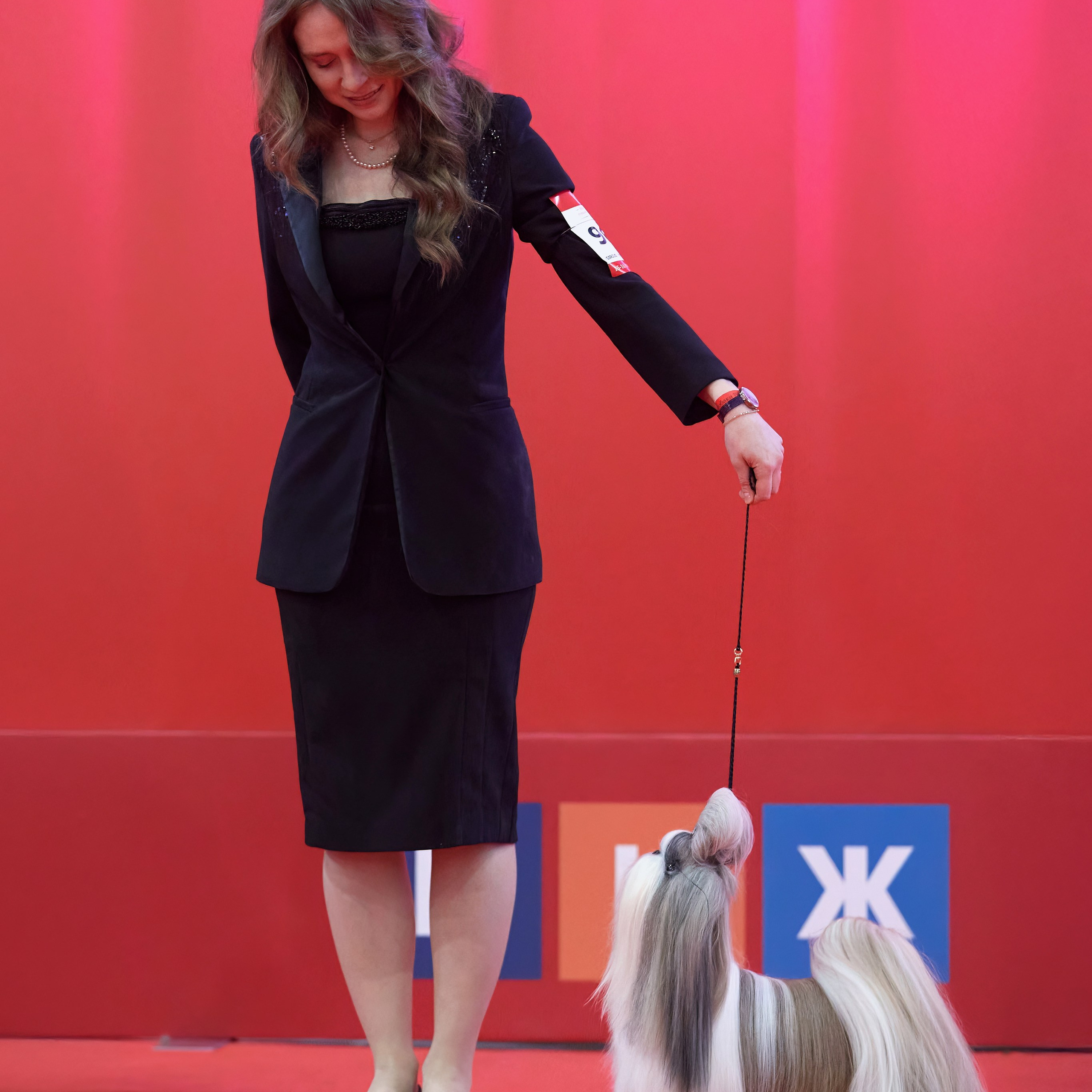 Шоу чемпионов «ЛУЧШИЕ СОБАКИ РОССИИ». ФОТОГРАФ-АНИМАЛИСТ l LANA POLYAKOVA