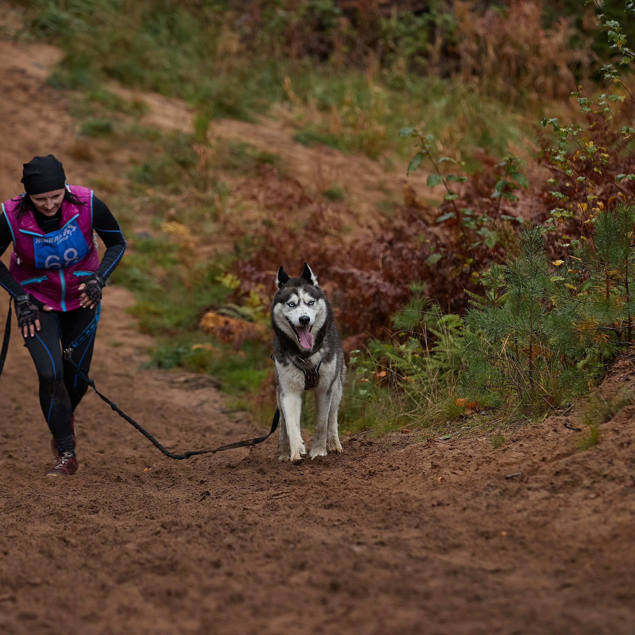 ЧЕМПИОНАТ РОССИИ РКФ 25–26 сентября 2021 г. ФОТОГРАФ-АНИМАЛИСТ l LANA POLYAKOVA