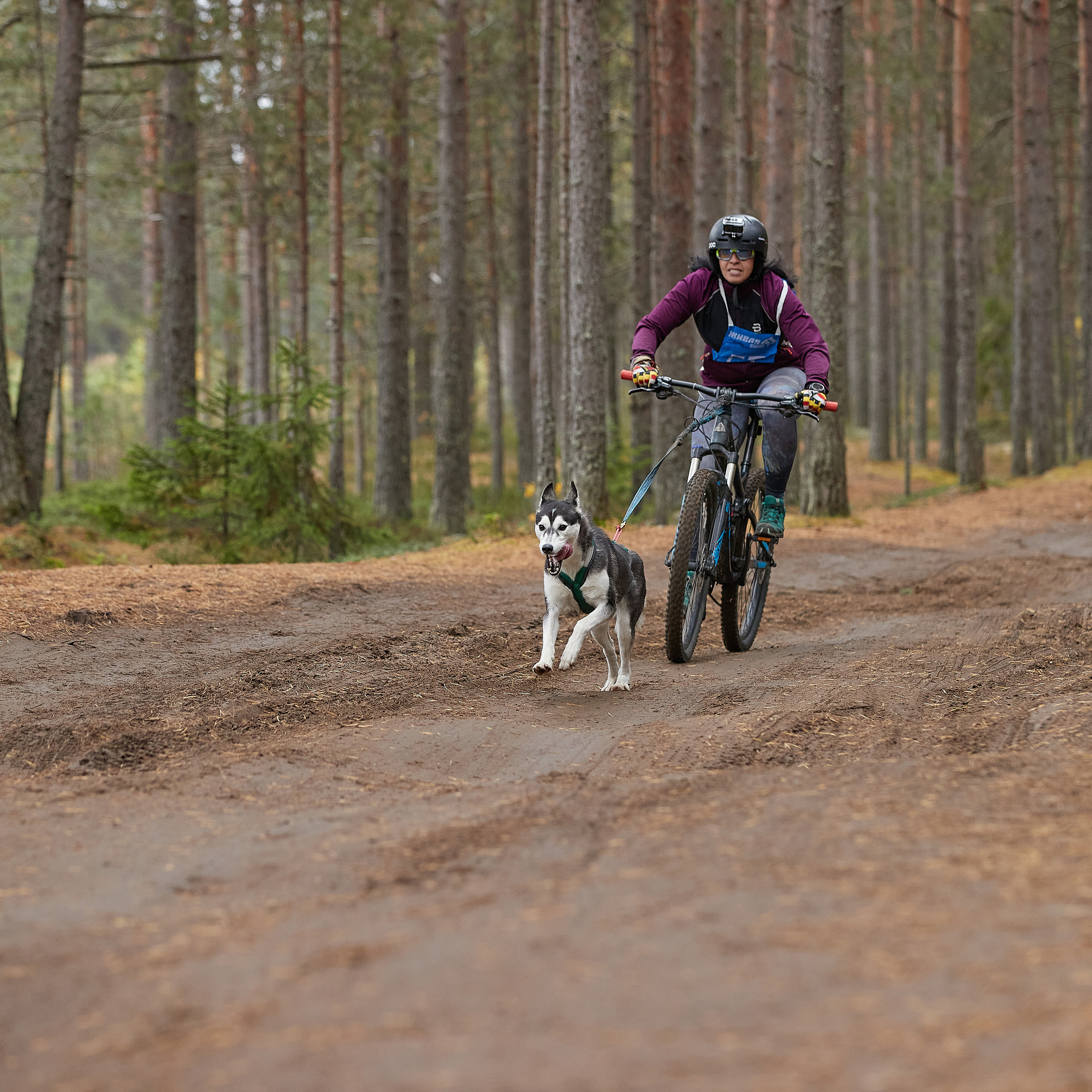 ЧЕМПИОНАТ РОССИИ РКФ 25–26 сентября 2021 г. ФОТОГРАФ-АНИМАЛИСТ l LANA POLYAKOVA