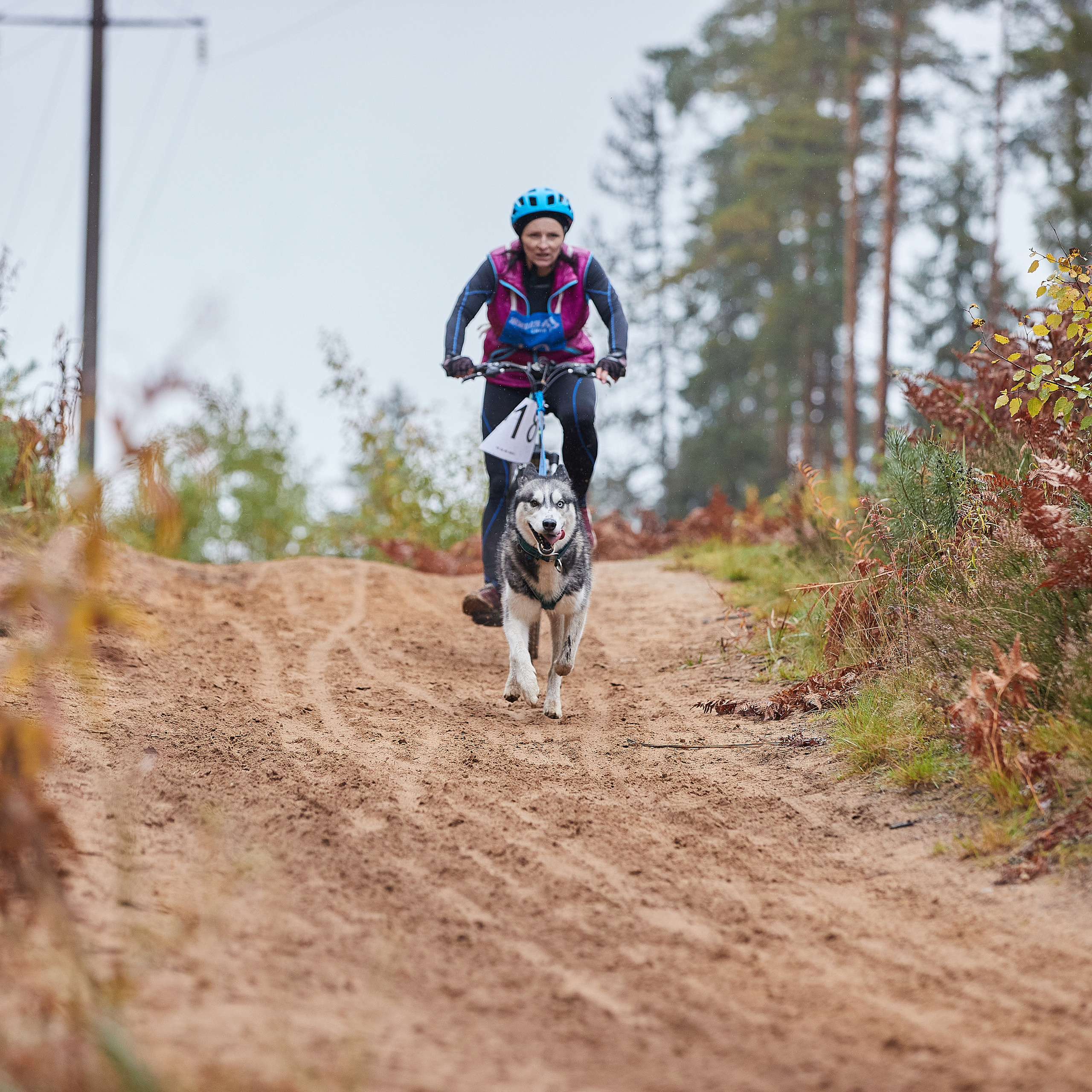 ЧЕМПИОНАТ РОССИИ РКФ 25–26 сентября 2021 г. ФОТОГРАФ-АНИМАЛИСТ l LANA POLYAKOVA