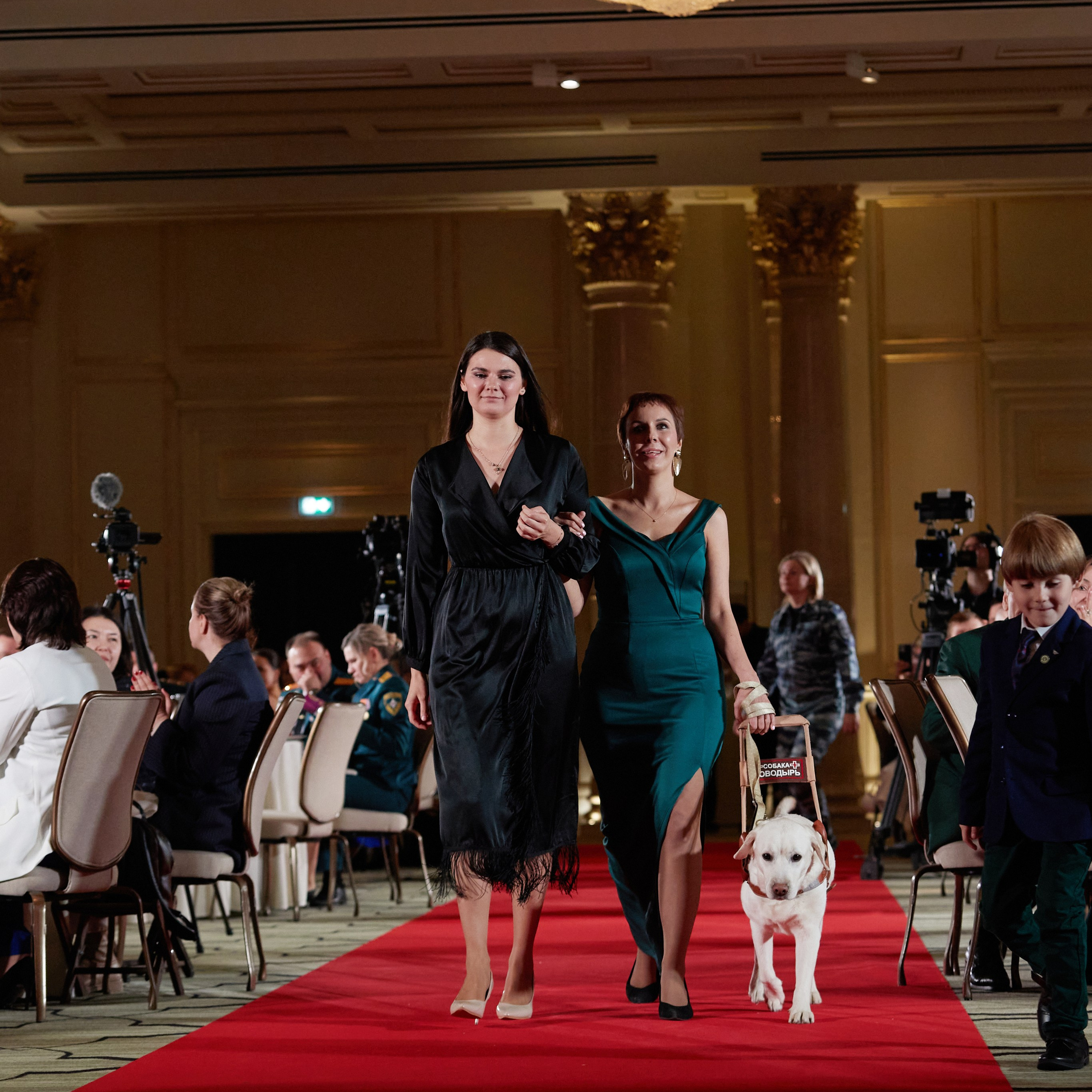 Репортаж с церемонии «BEST RUSSIAN DOG 2023». ФОТОГРАФ-АНИМАЛИСТ l LANA POLYAKOVA