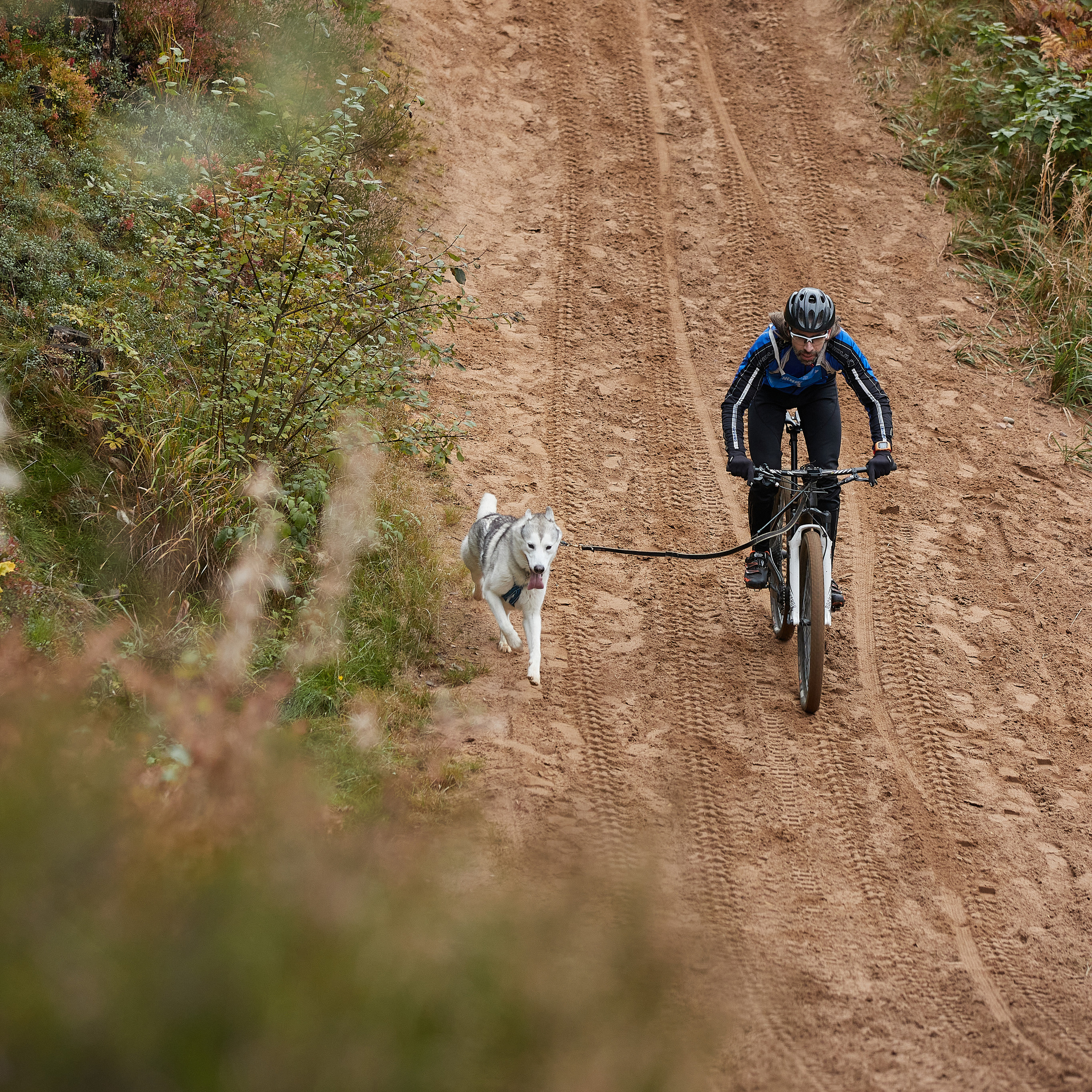 ЧЕМПИОНАТ РОССИИ РКФ 25–26 сентября 2021 г. ФОТОГРАФ-АНИМАЛИСТ l LANA POLYAKOVA