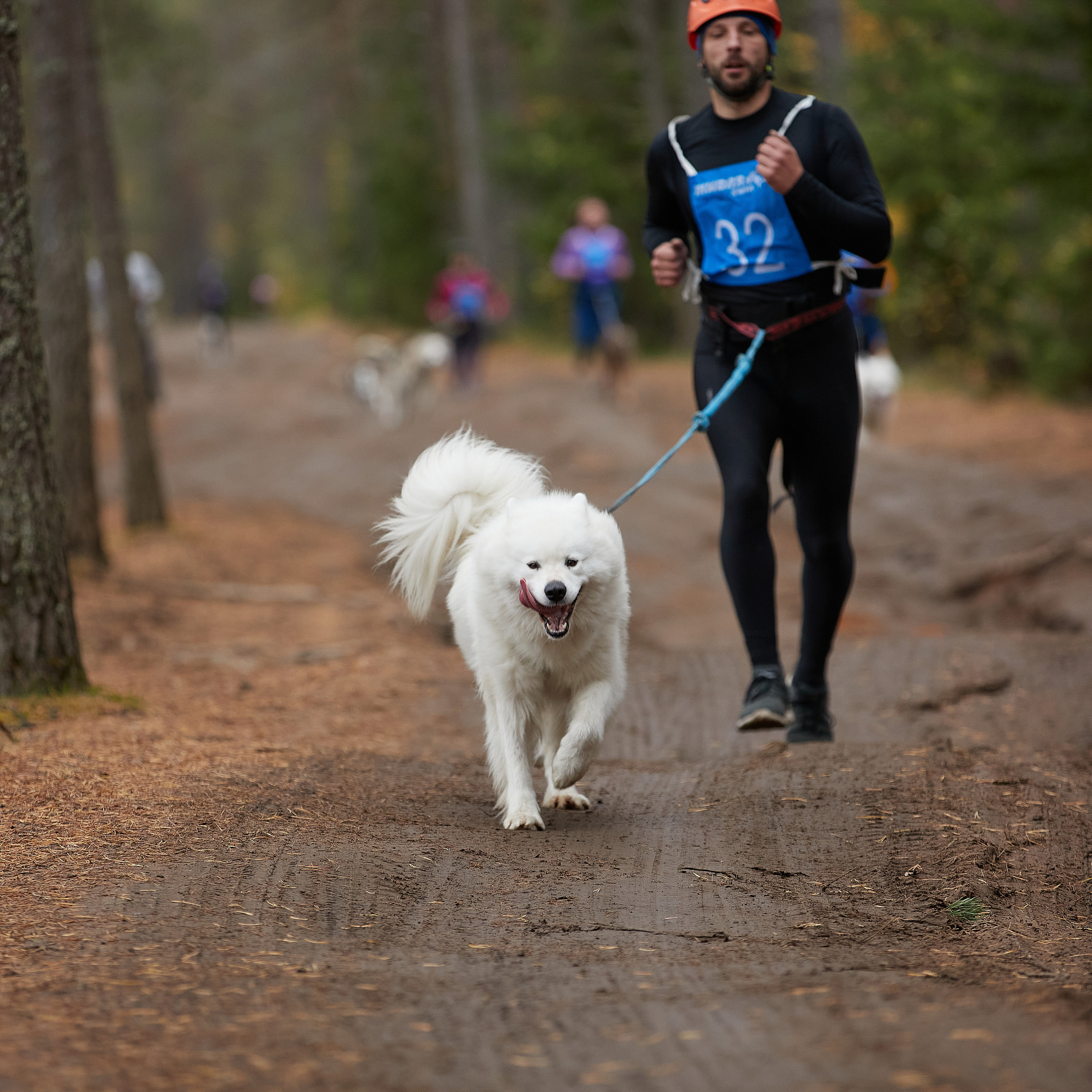 ЧЕМПИОНАТ РОССИИ РКФ 25–26 сентября 2021 г. ФОТОГРАФ-АНИМАЛИСТ l LANA POLYAKOVA