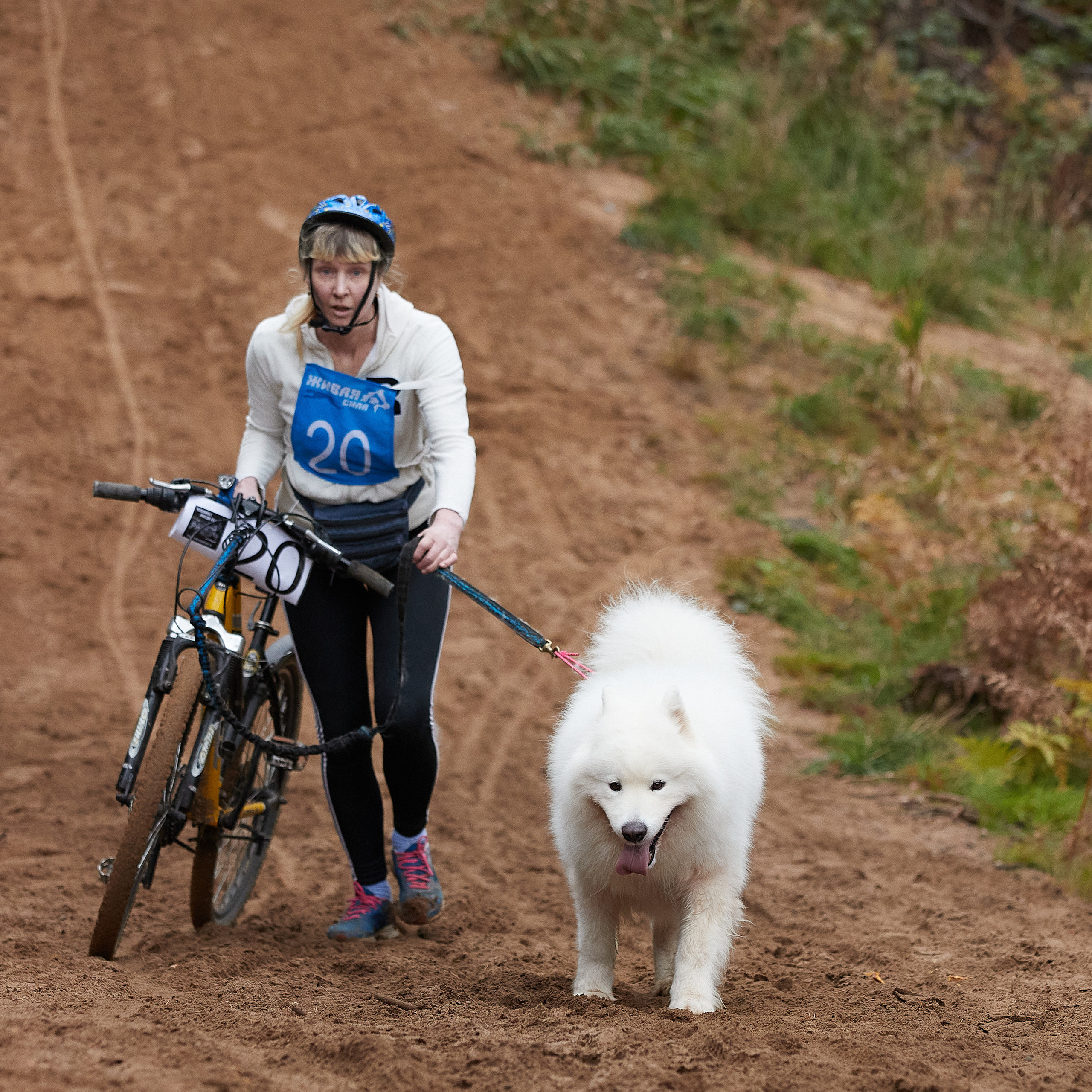 ЧЕМПИОНАТ РОССИИ РКФ 25–26 сентября 2021 г. ФОТОГРАФ-АНИМАЛИСТ l LANA POLYAKOVA