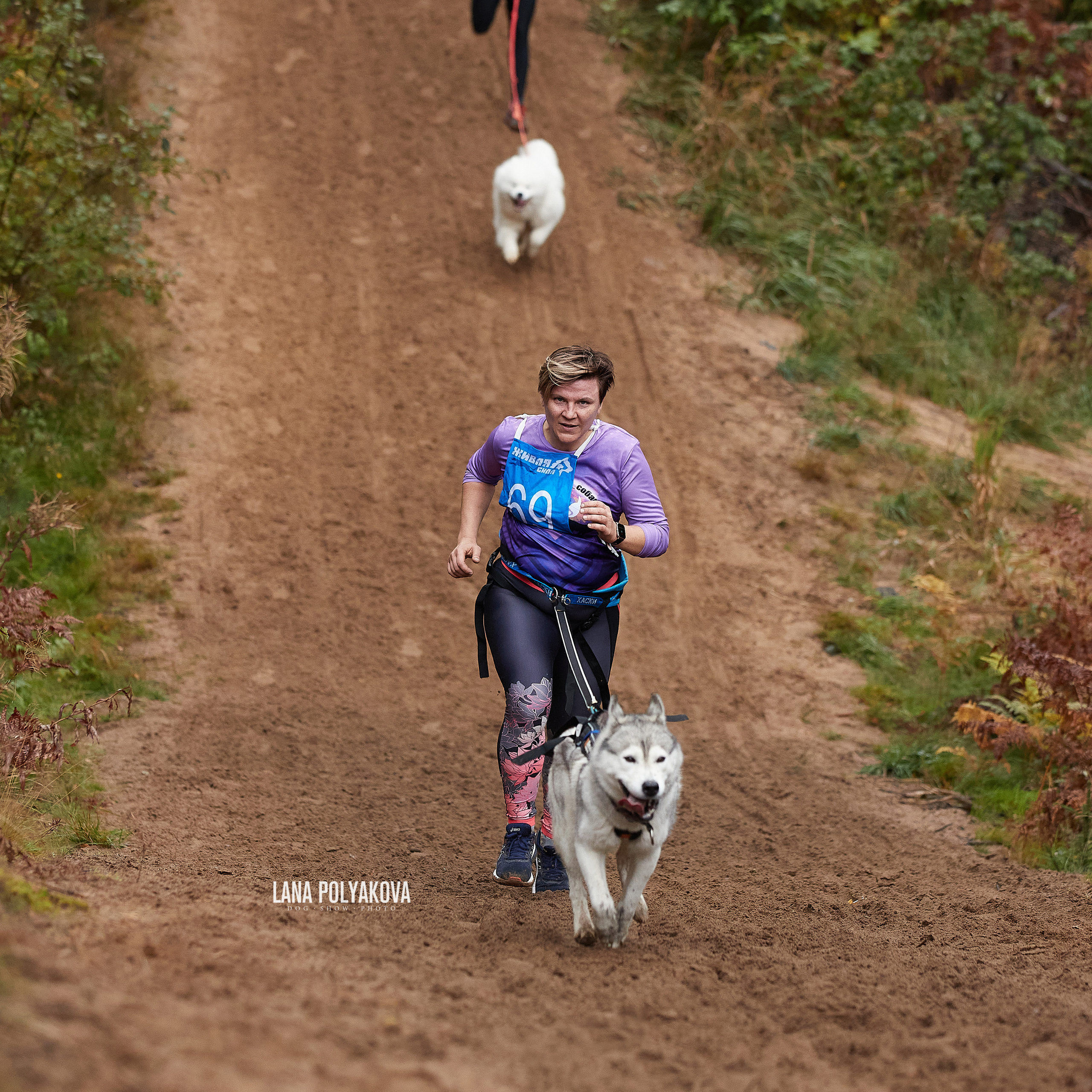 ЧЕМПИОНАТ РОССИИ РКФ 25–26 сентября 2021 г. ФОТОГРАФ-АНИМАЛИСТ l LANA POLYAKOVA