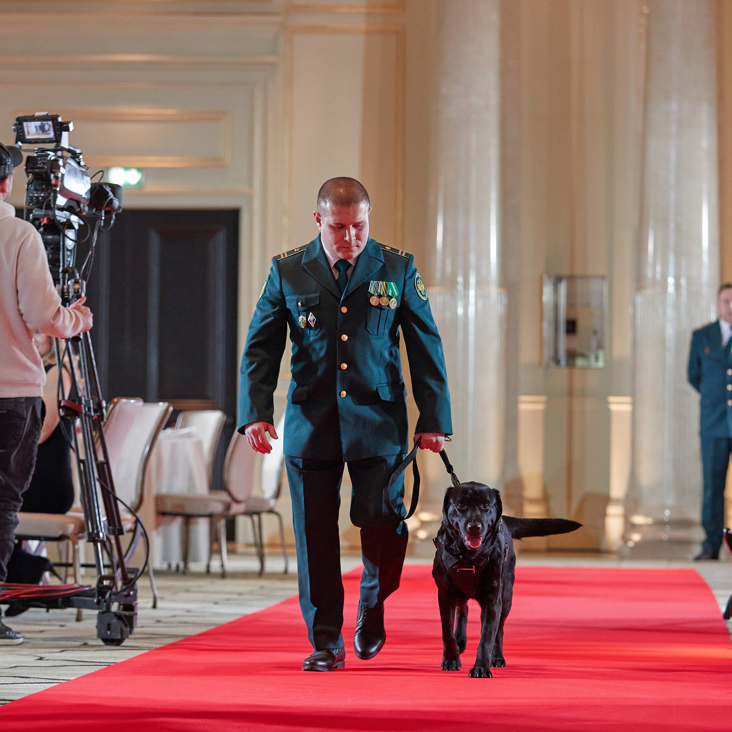 Репортаж с церемонии «BEST RUSSIAN DOG 2022». ФОТОГРАФ-АНИМАЛИСТ l LANA POLYAKOVA
