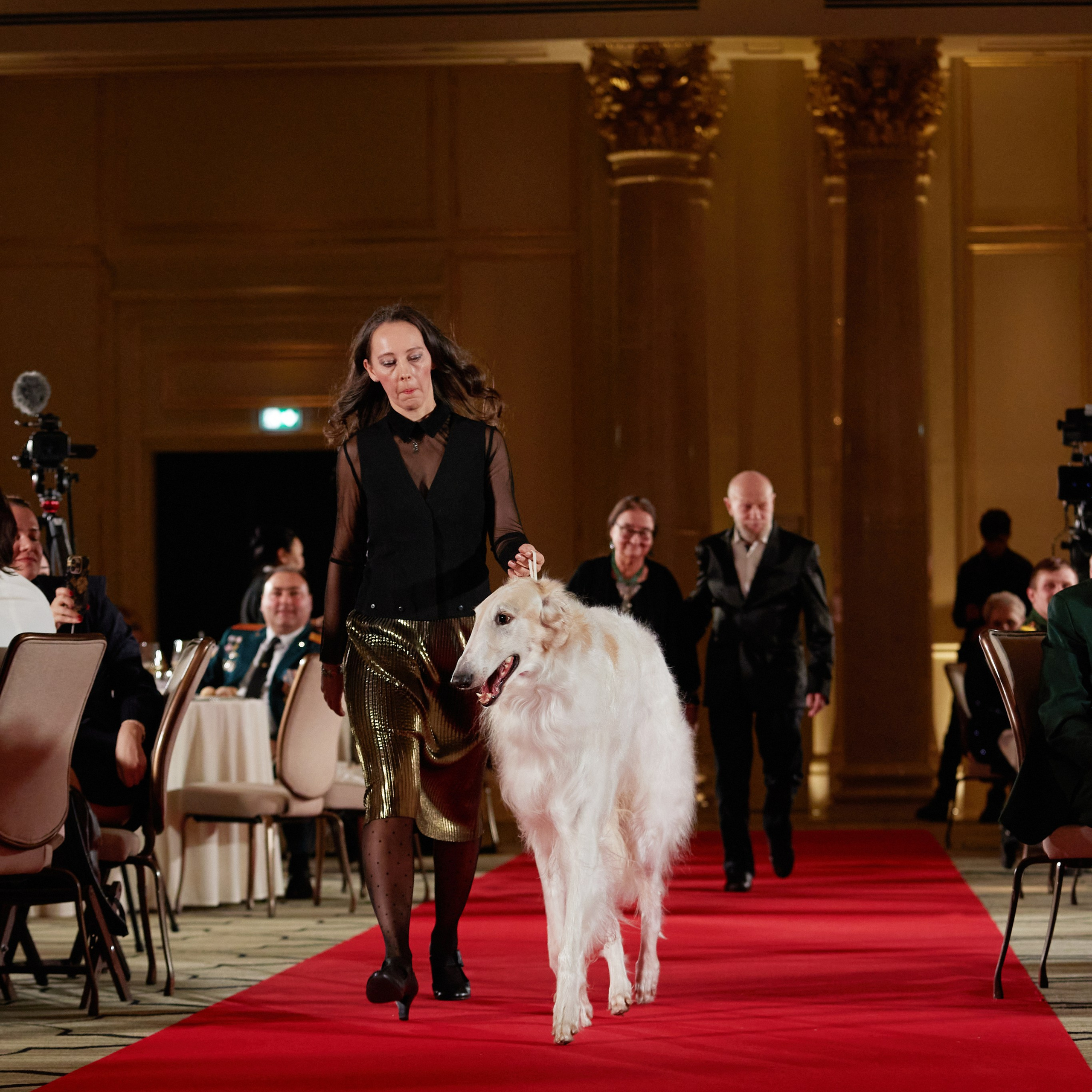 Репортаж с церемонии «BEST RUSSIAN DOG 2023». ФОТОГРАФ-АНИМАЛИСТ l LANA POLYAKOVA