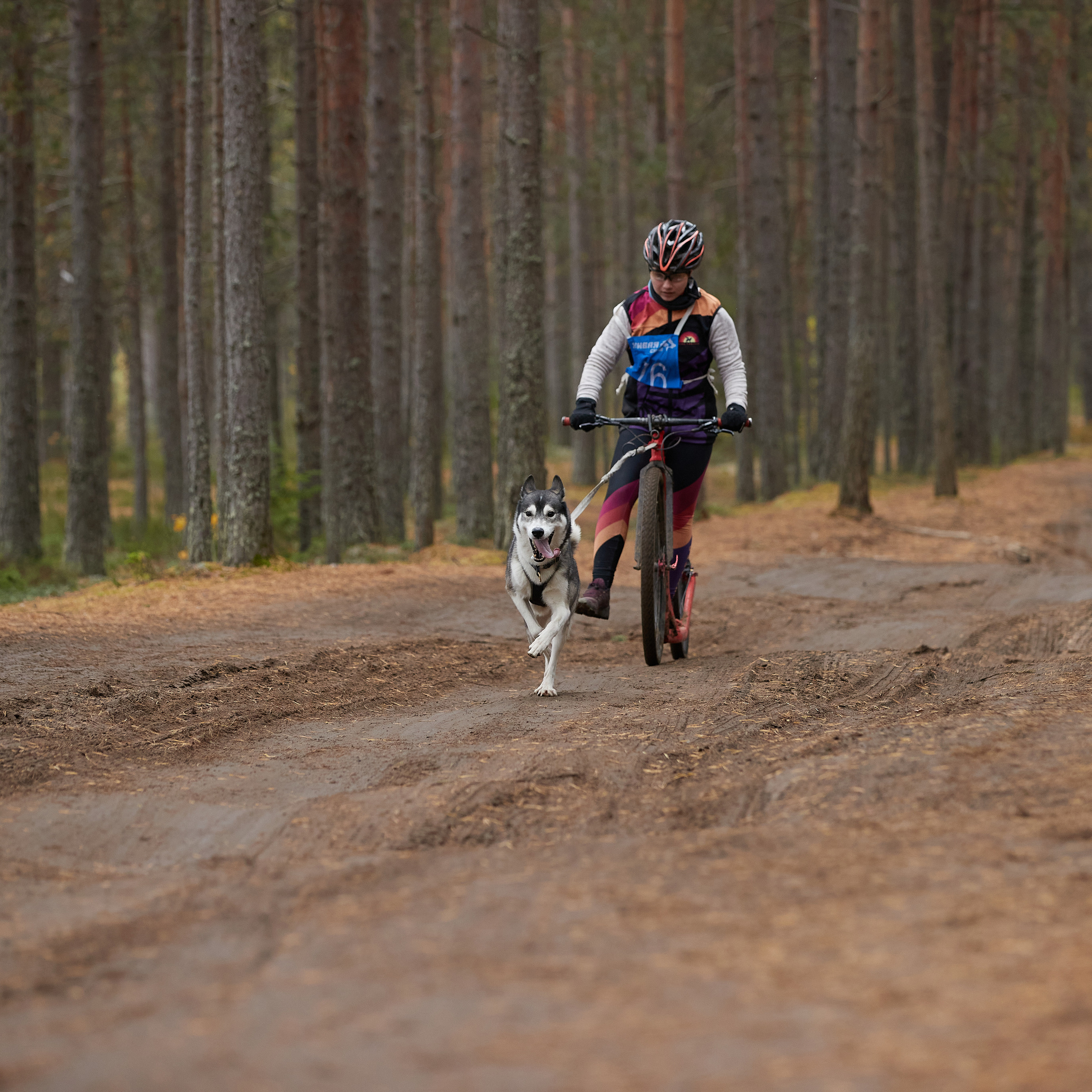 ЧЕМПИОНАТ РОССИИ РКФ 25–26 сентября 2021 г. ФОТОГРАФ-АНИМАЛИСТ l LANA POLYAKOVA