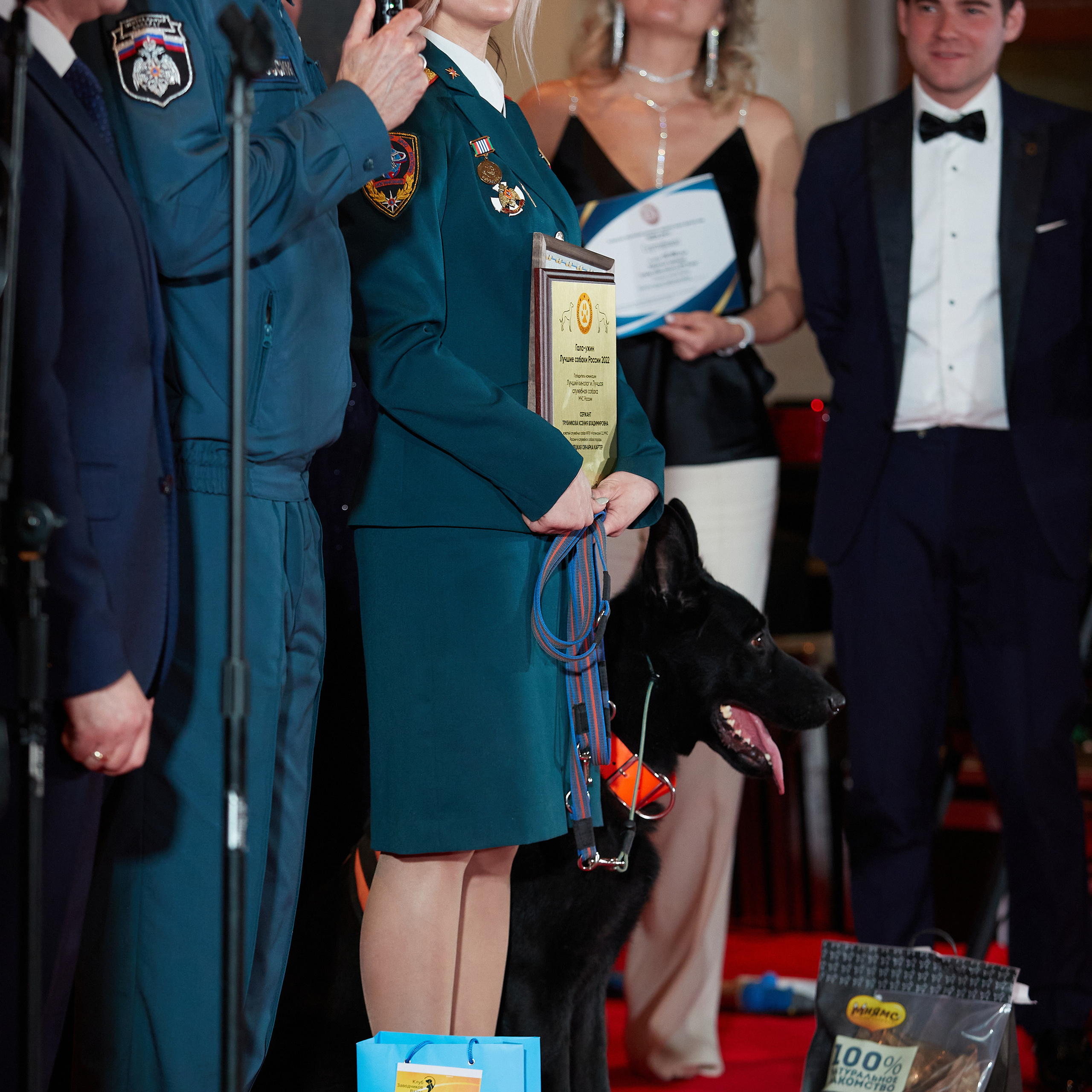 Репортаж с церемонии «BEST RUSSIAN DOG 2022». ФОТОГРАФ-АНИМАЛИСТ l LANA POLYAKOVA