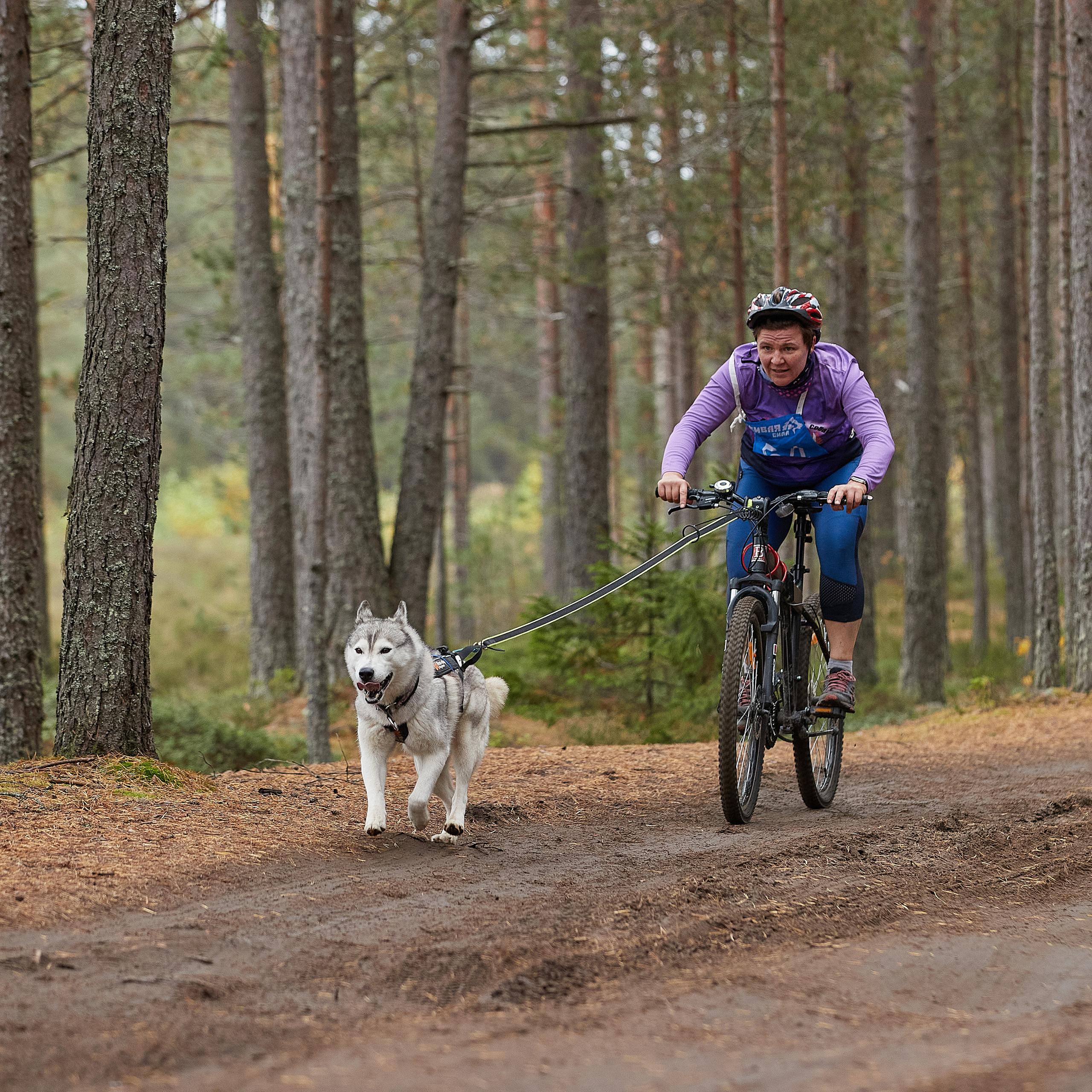ЧЕМПИОНАТ РОССИИ РКФ 25–26 сентября 2021 г. ФОТОГРАФ-АНИМАЛИСТ l LANA POLYAKOVA