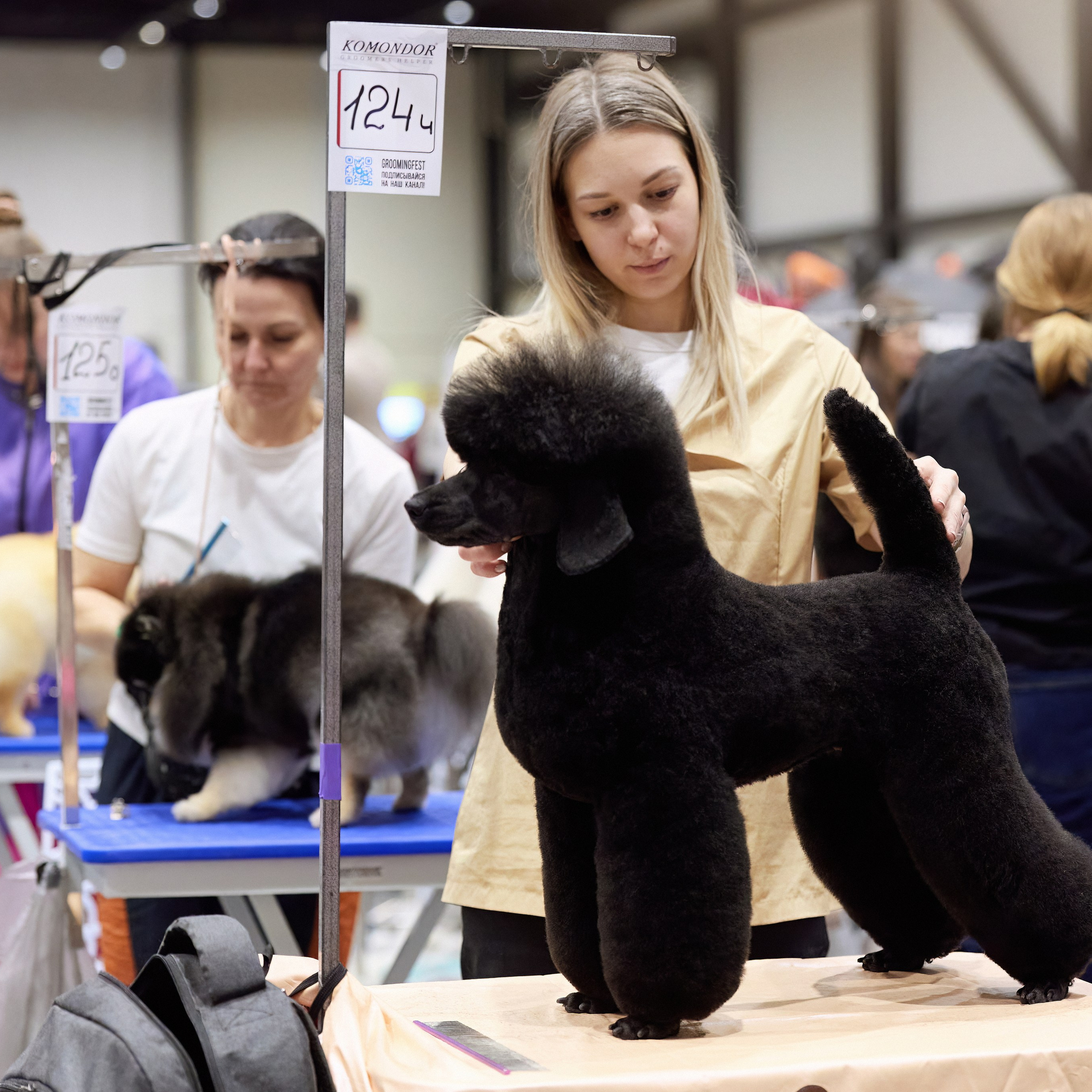 ВЫСТАВКА СОБАК С ОСОБЫМ СТАТУСОМ «НЕВСКИЙ ПОБЕДИТЕЛЬ» 12-13-14.12.2025. ФОТОГРАФ-АНИМАЛИСТ l LANA POLYAKOVA