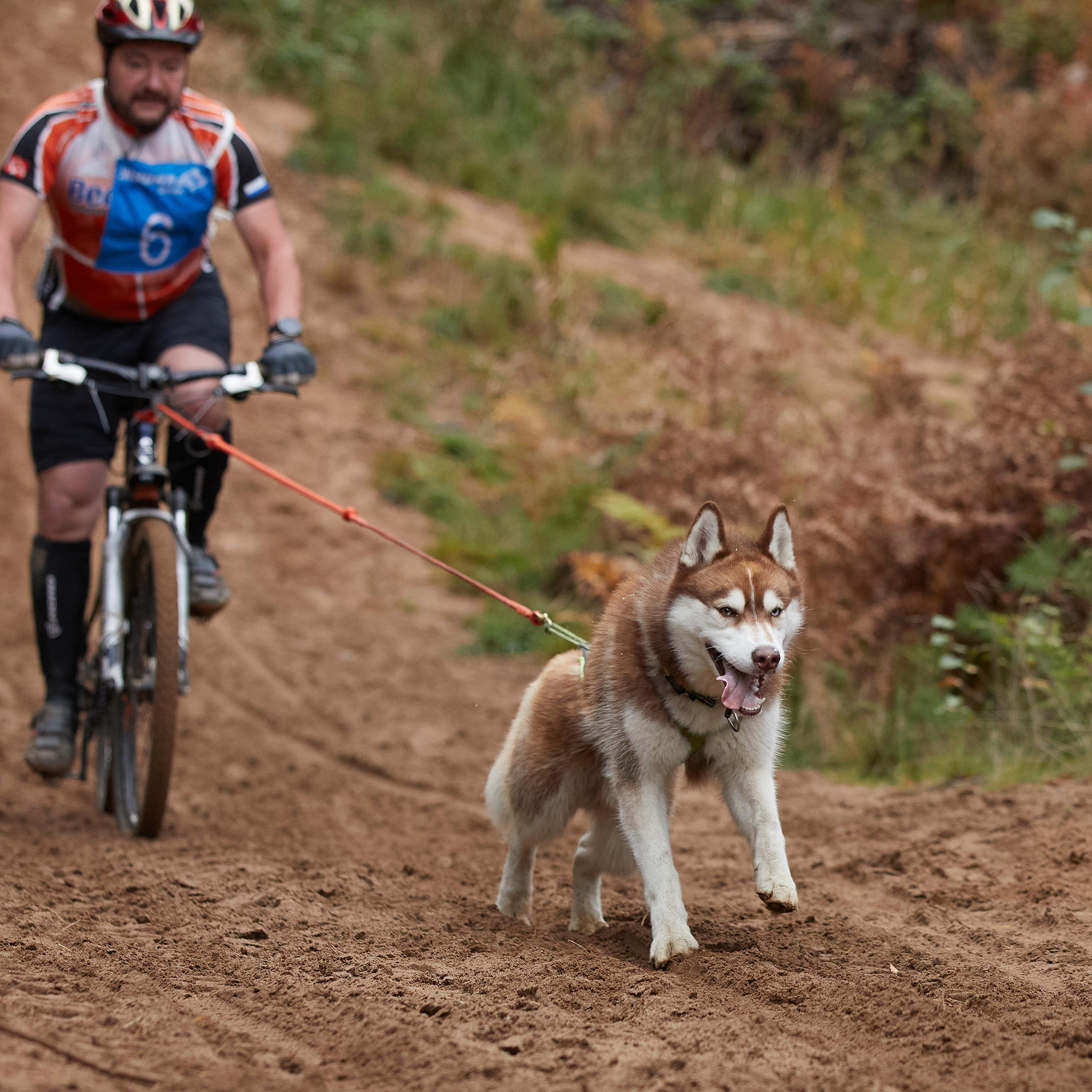 ЧЕМПИОНАТ РОССИИ РКФ 25–26 сентября 2021 г. ФОТОГРАФ-АНИМАЛИСТ l LANA POLYAKOVA