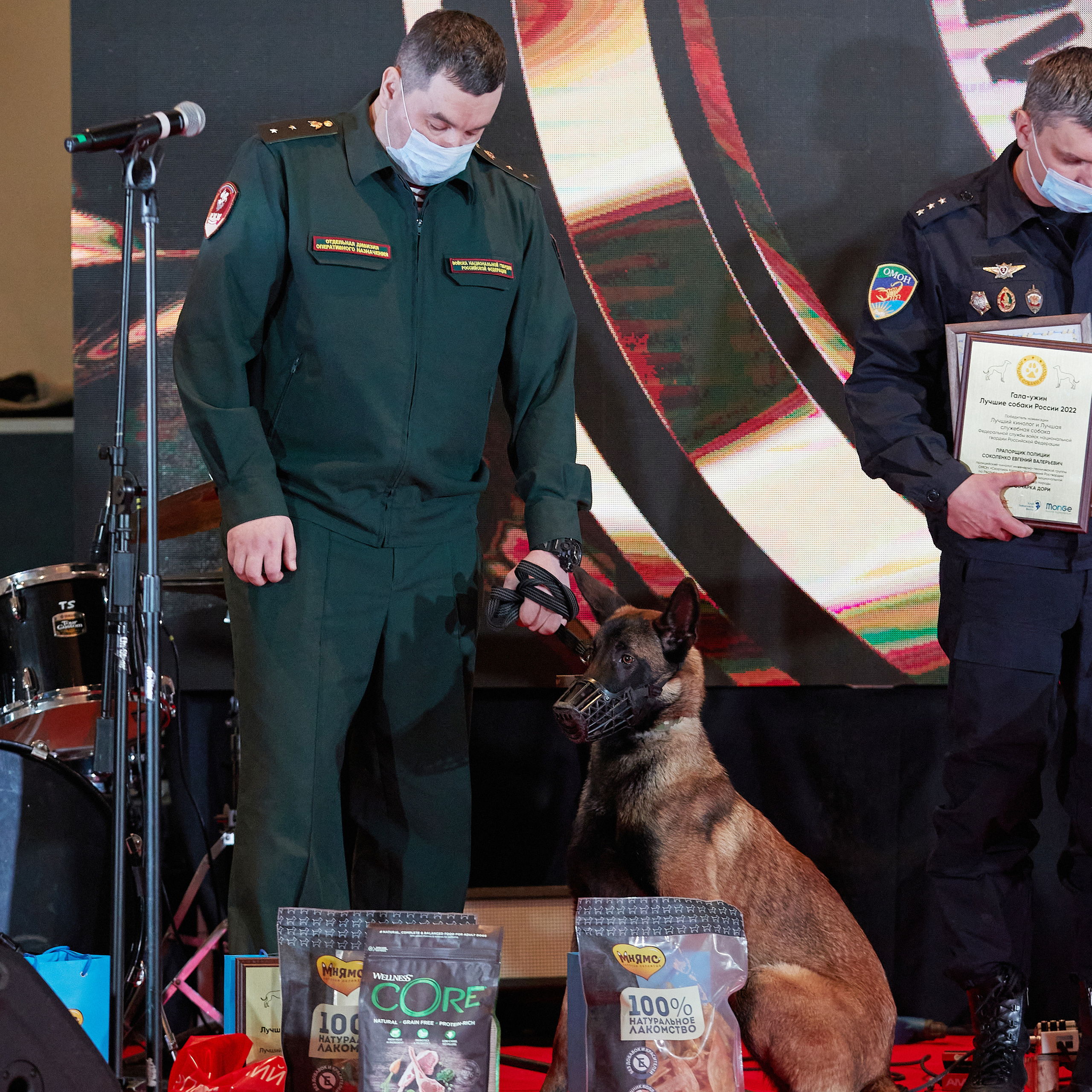 Репортаж с церемонии «BEST RUSSIAN DOG 2022». ФОТОГРАФ-АНИМАЛИСТ l LANA POLYAKOVA