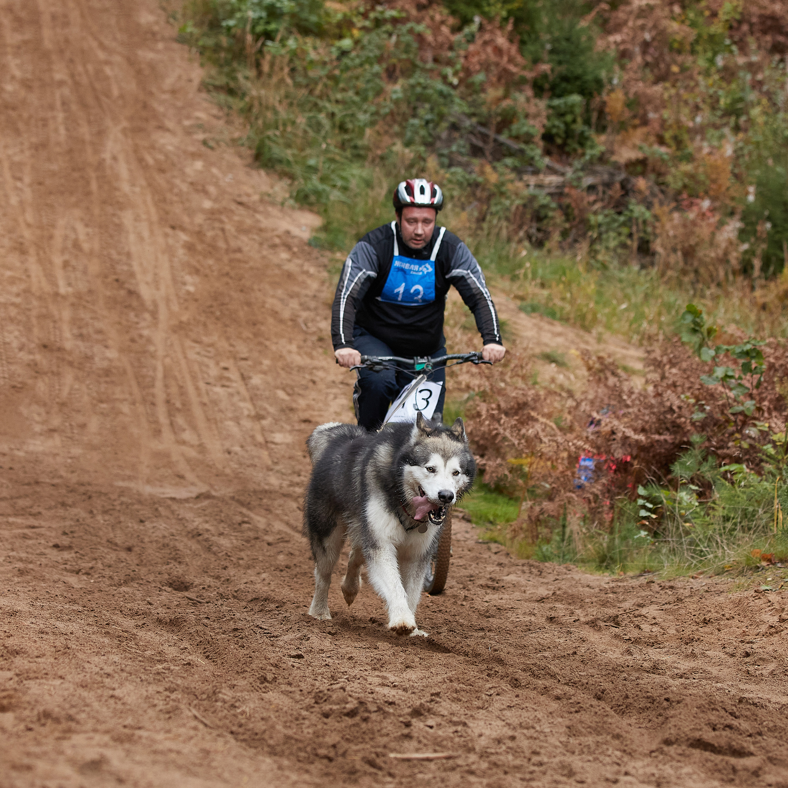 ЧЕМПИОНАТ РОССИИ РКФ 25–26 сентября 2021 г. ФОТОГРАФ-АНИМАЛИСТ l LANA POLYAKOVA