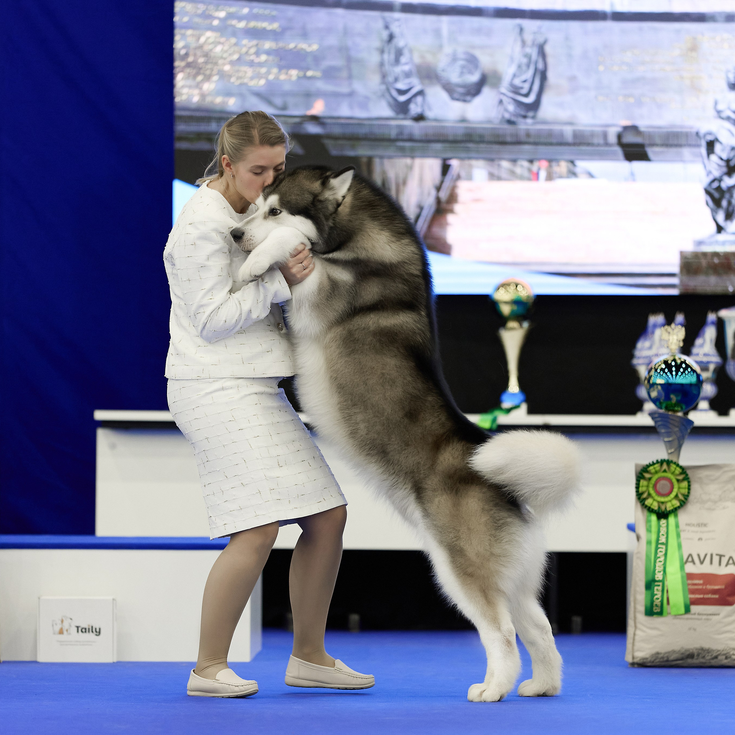 ВЫСТАВКА СОБАК С ОСОБЫМ СТАТУСОМ «НЕВСКИЙ ПОБЕДИТЕЛЬ» 12-13-14.12.2025. ФОТОГРАФ-АНИМАЛИСТ l LANA POLYAKOVA