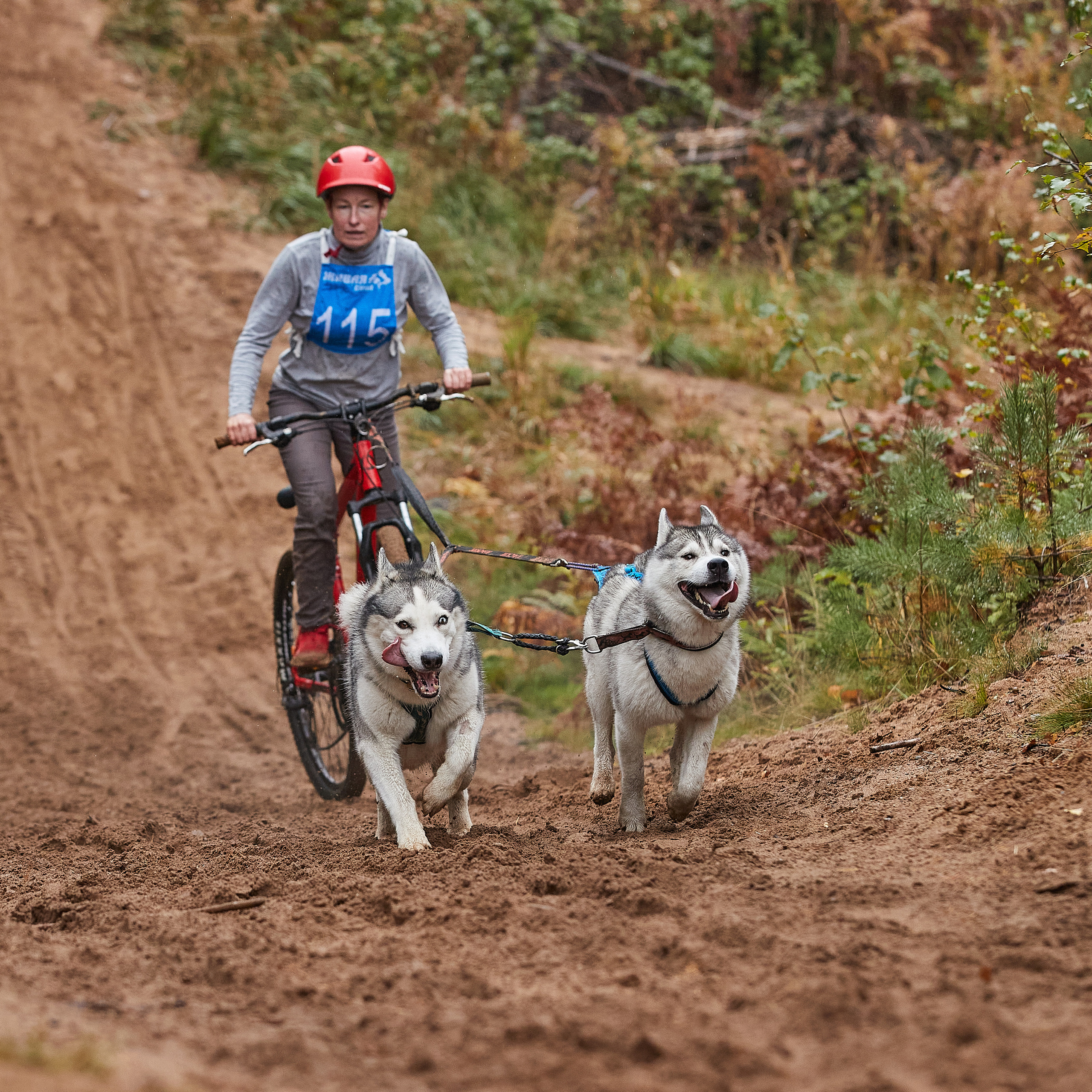 ЧЕМПИОНАТ РОССИИ РКФ 25–26 сентября 2021 г. ФОТОГРАФ-АНИМАЛИСТ l LANA POLYAKOVA