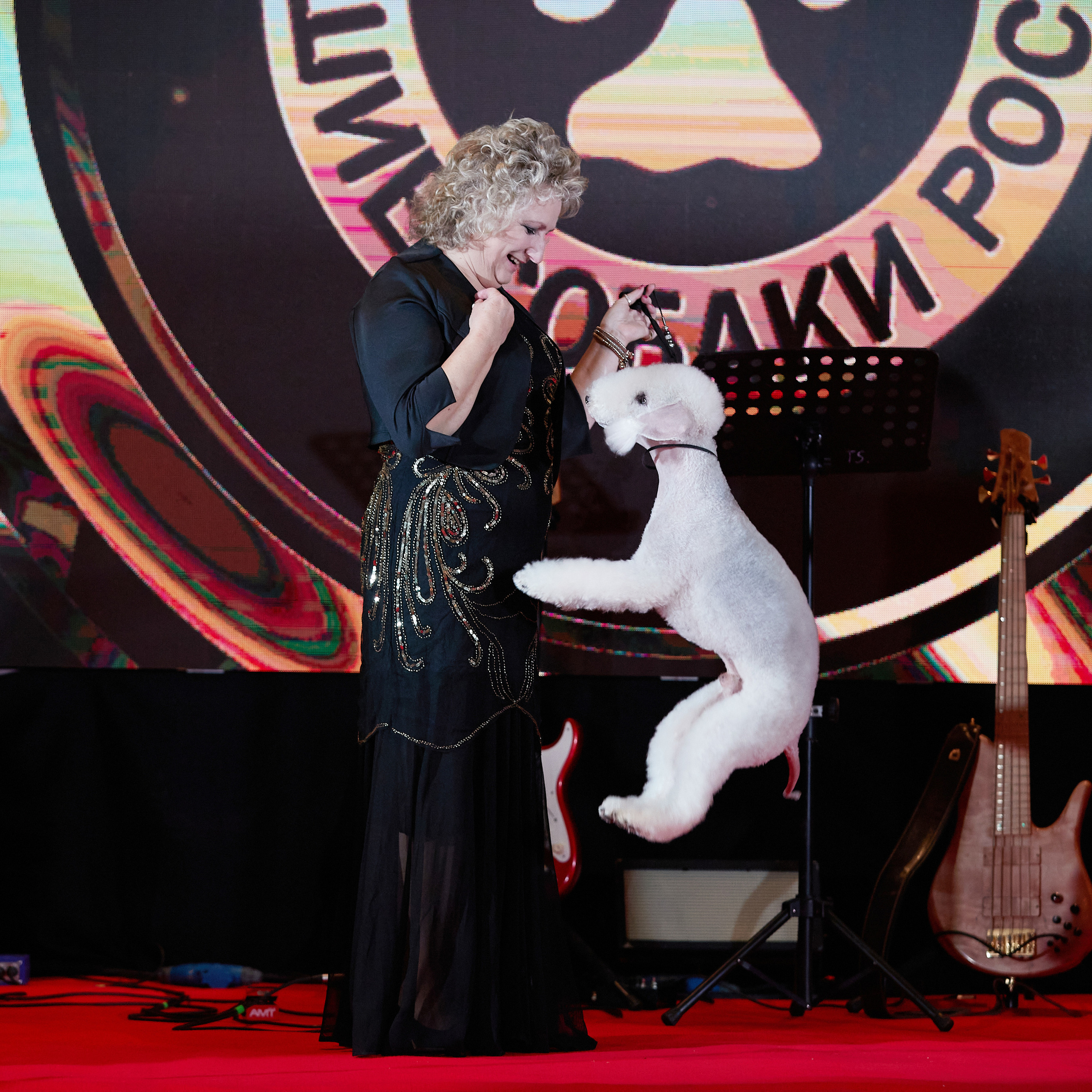 Репортаж с церемонии «BEST RUSSIAN DOG 2022». ФОТОГРАФ-АНИМАЛИСТ l LANA POLYAKOVA