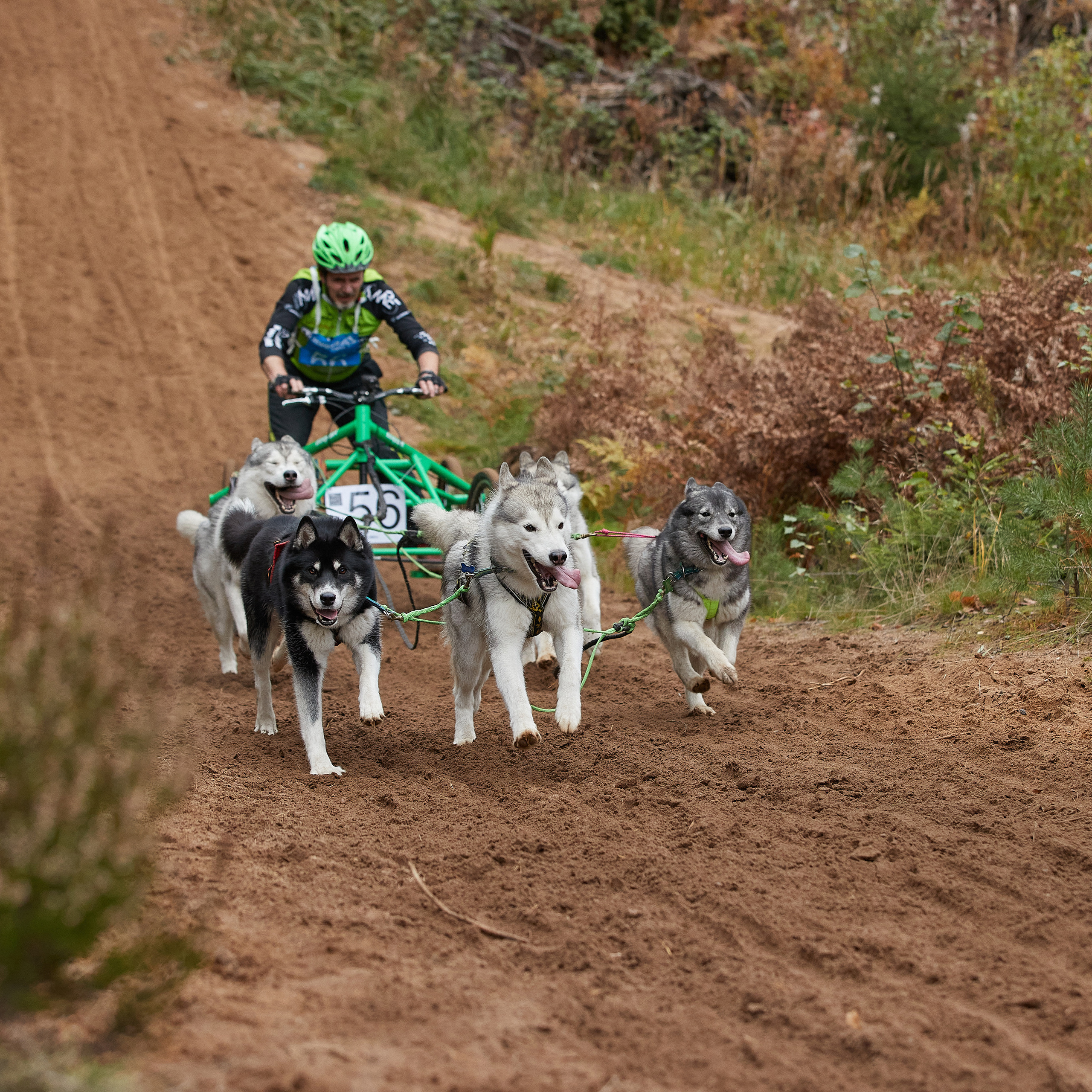 ЧЕМПИОНАТ РОССИИ РКФ 25–26 сентября 2021 г. ФОТОГРАФ-АНИМАЛИСТ l LANA POLYAKOVA