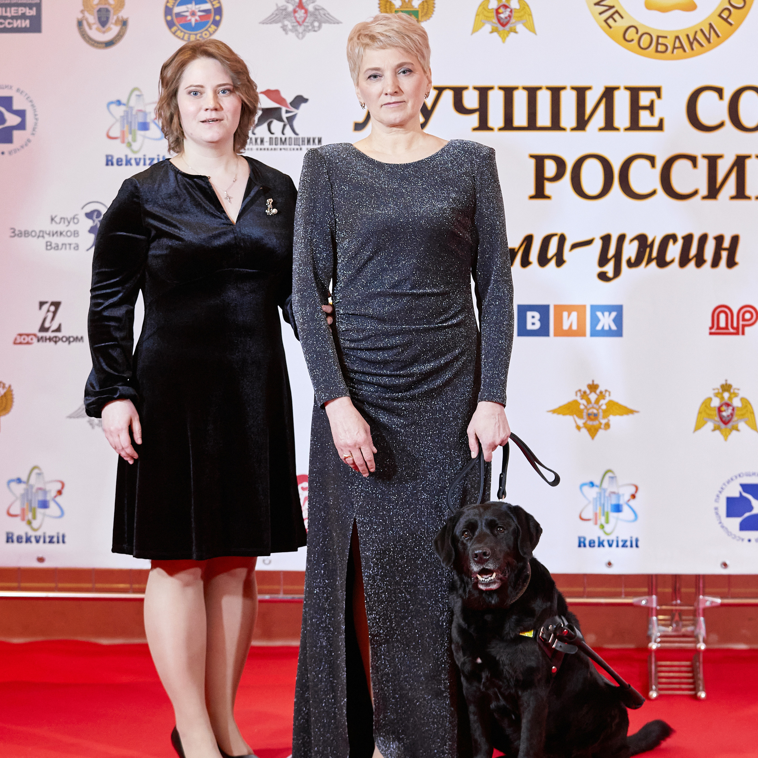 Репортаж с церемонии «BEST RUSSIAN DOG 2022». ФОТОГРАФ-АНИМАЛИСТ l LANA POLYAKOVA