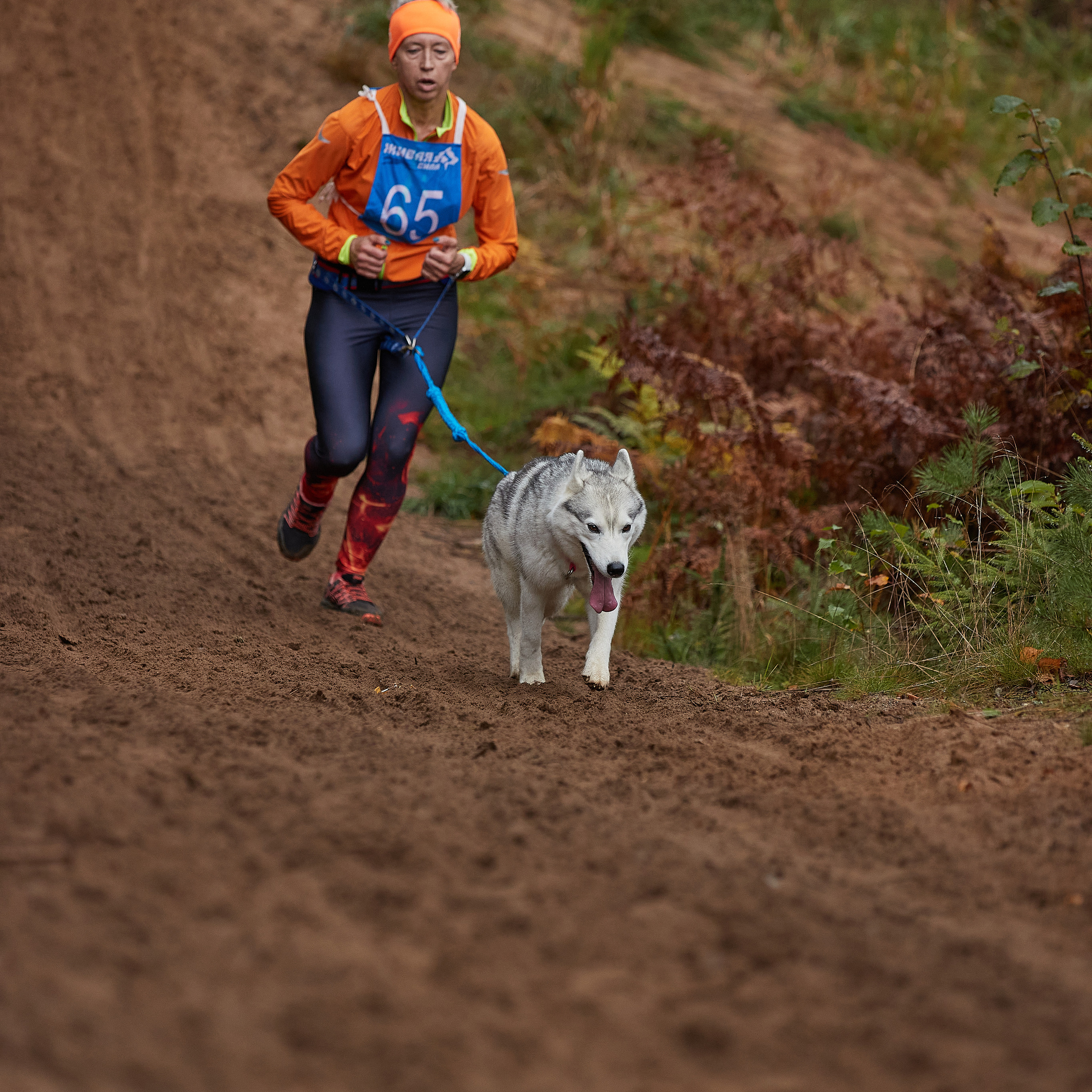 ЧЕМПИОНАТ РОССИИ РКФ 25–26 сентября 2021 г. ФОТОГРАФ-АНИМАЛИСТ l LANA POLYAKOVA