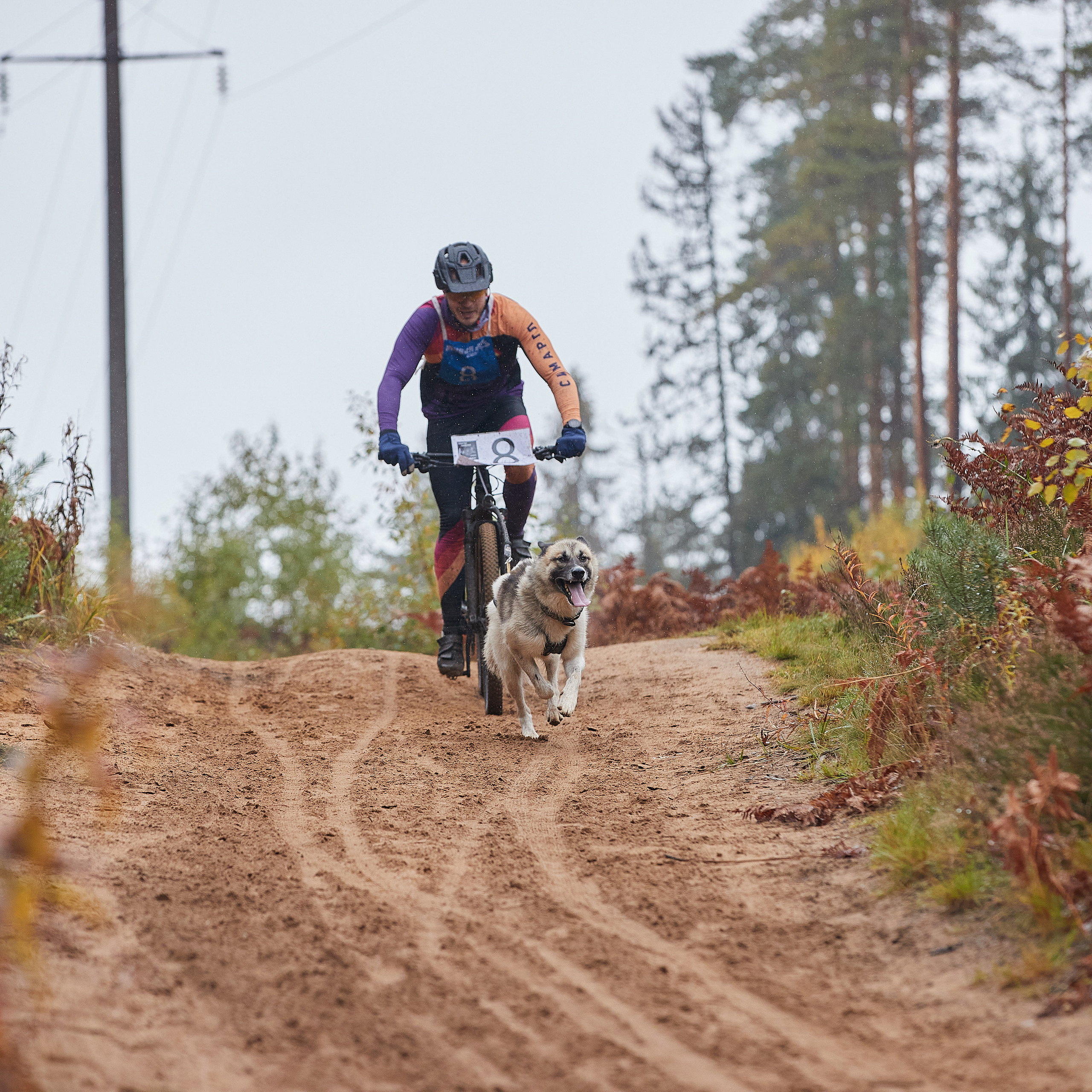 ЧЕМПИОНАТ РОССИИ РКФ 25–26 сентября 2021 г. ФОТОГРАФ-АНИМАЛИСТ l LANA POLYAKOVA