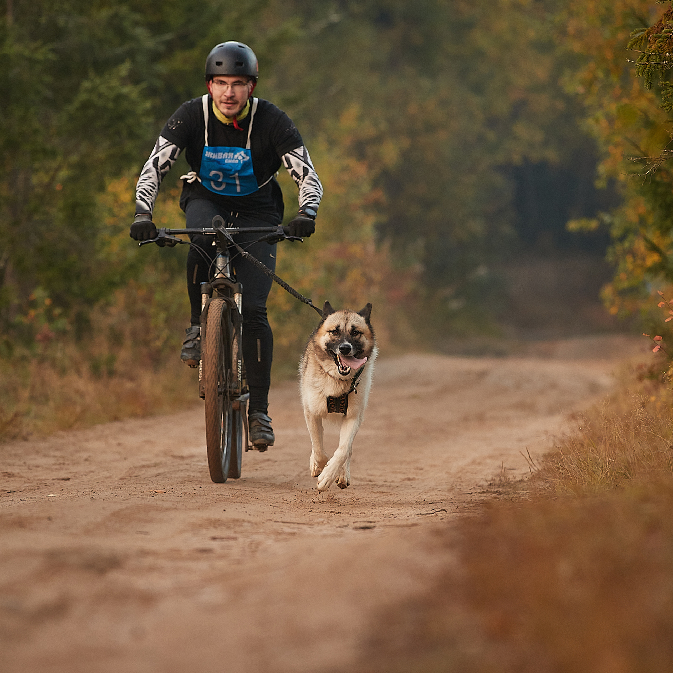 ЧЕМПИОНАТ РОССИИ РКФ 27 сентября 2020 г., 2й день. ФОТОГРАФ-АНИМАЛИСТ l LANA POLYAKOVA