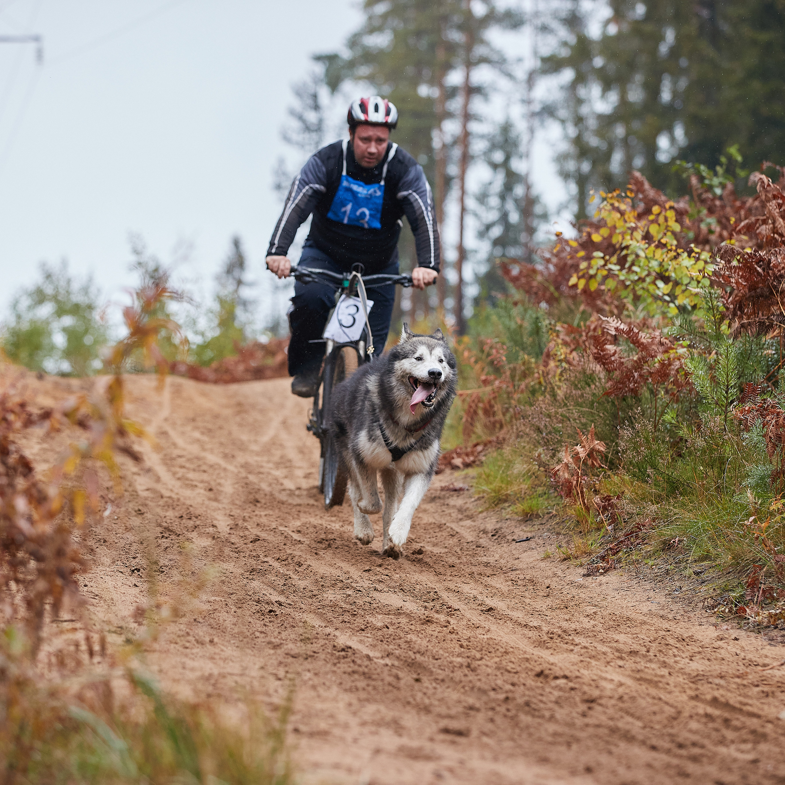 ЧЕМПИОНАТ РОССИИ РКФ 25–26 сентября 2021 г. ФОТОГРАФ-АНИМАЛИСТ l LANA POLYAKOVA