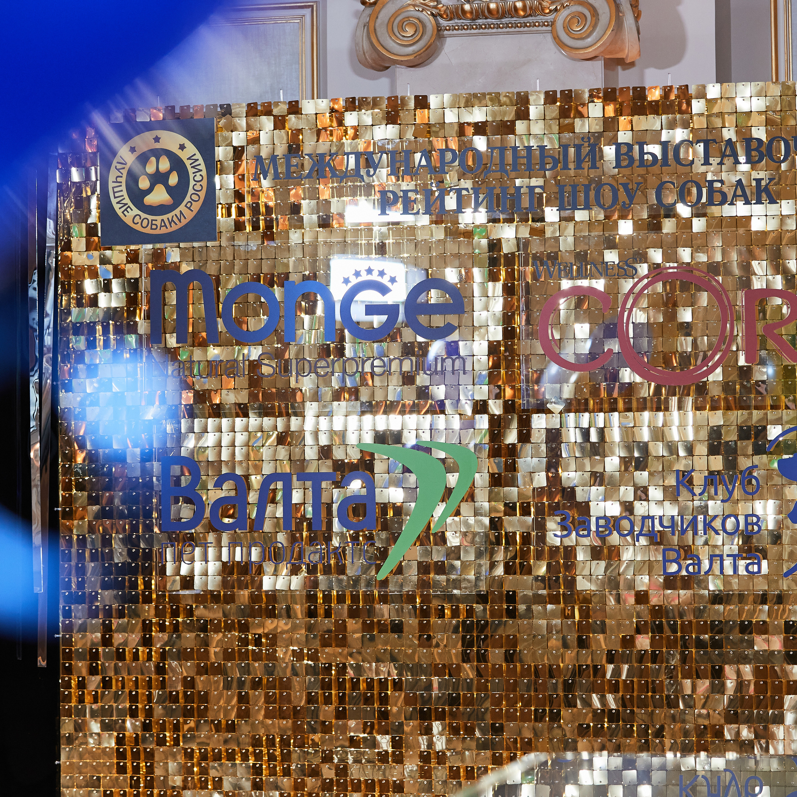 Репортаж с церемонии «BEST RUSSIAN DOG 2022». ФОТОГРАФ-АНИМАЛИСТ l LANA POLYAKOVA