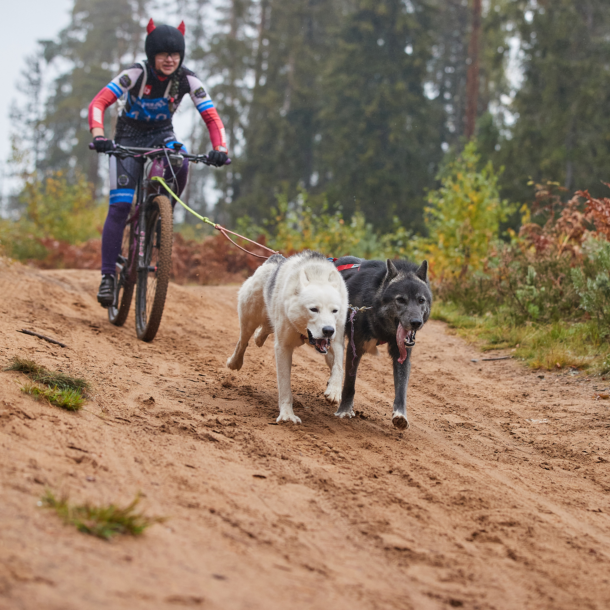 ЧЕМПИОНАТ РОССИИ РКФ 25–26 сентября 2021 г. ФОТОГРАФ-АНИМАЛИСТ l LANA POLYAKOVA