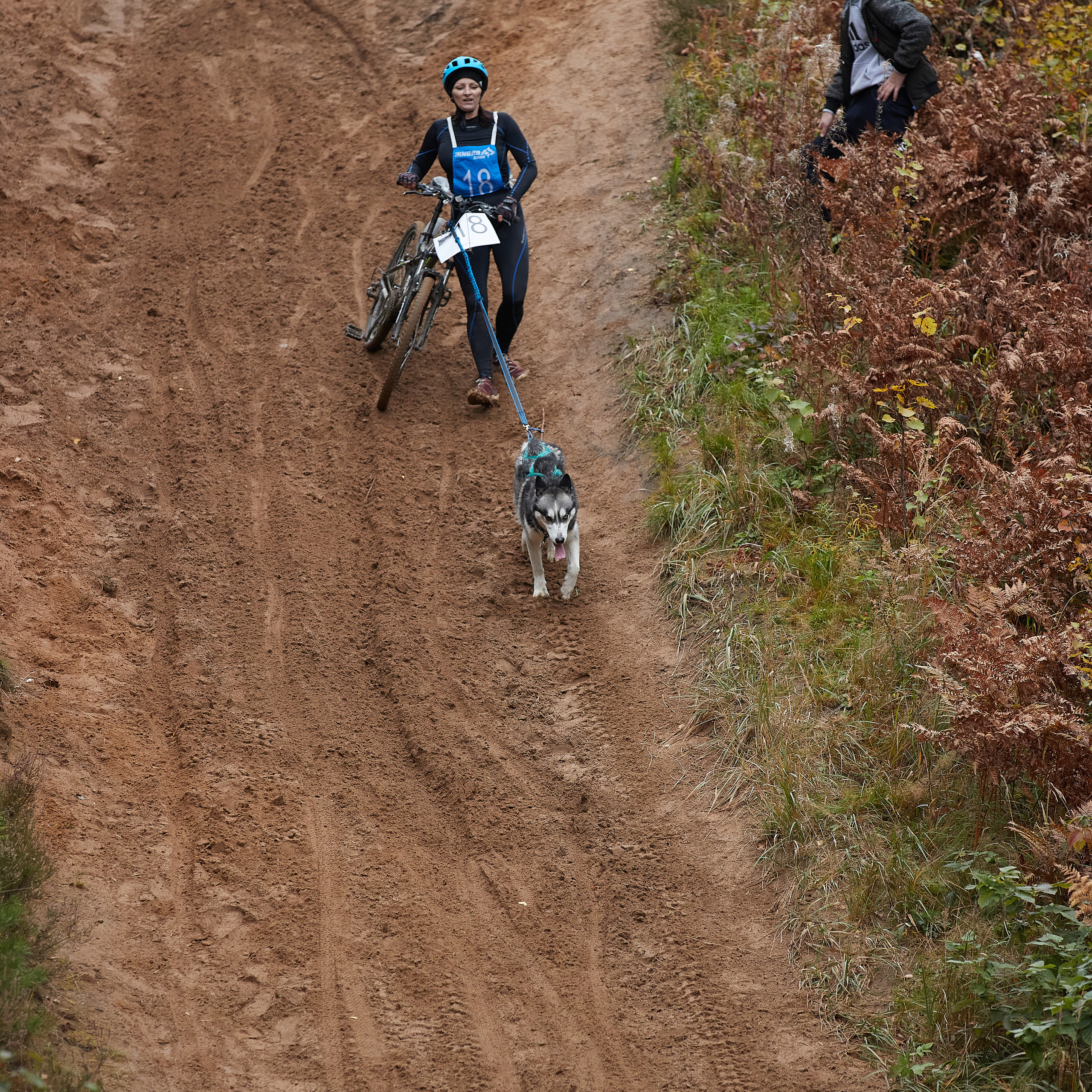ЧЕМПИОНАТ РОССИИ РКФ 25–26 сентября 2021 г. ФОТОГРАФ-АНИМАЛИСТ l LANA POLYAKOVA