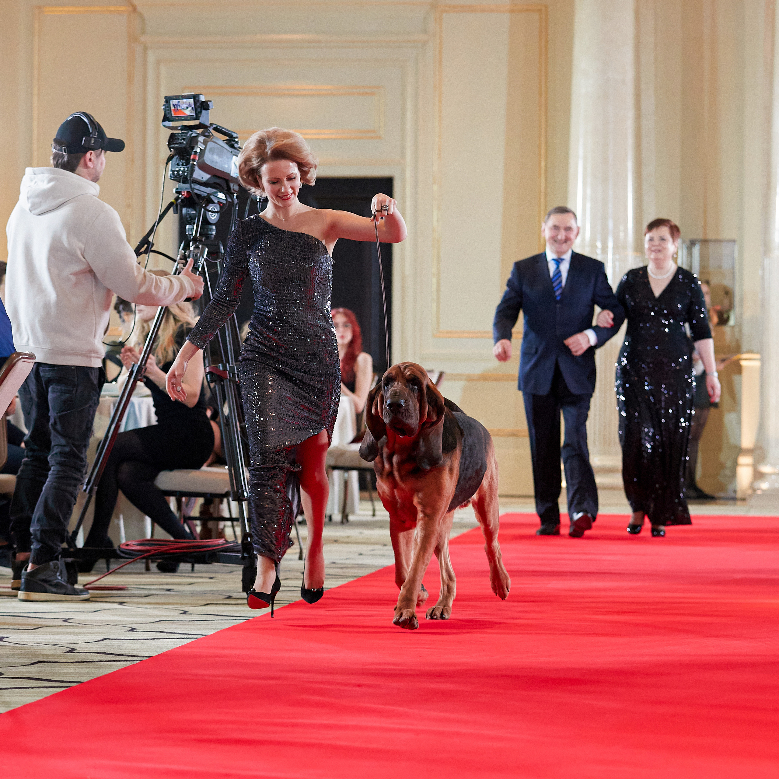 Репортаж с церемонии «BEST RUSSIAN DOG 2022». ФОТОГРАФ-АНИМАЛИСТ l LANA POLYAKOVA