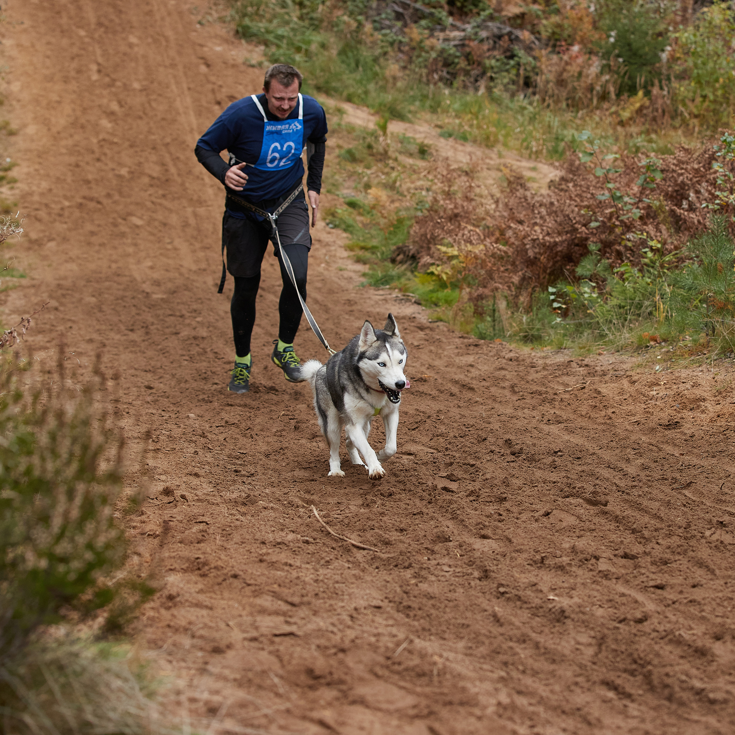 ЧЕМПИОНАТ РОССИИ РКФ 25–26 сентября 2021 г. ФОТОГРАФ-АНИМАЛИСТ l LANA POLYAKOVA