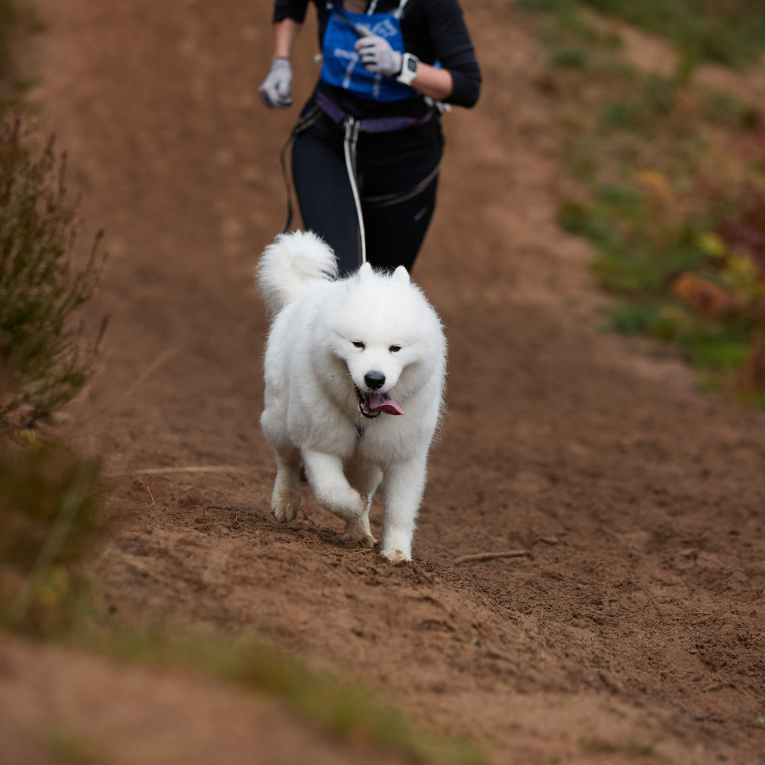 ЧЕМПИОНАТ РОССИИ РКФ 25–26 сентября 2021 г. ФОТОГРАФ-АНИМАЛИСТ l LANA POLYAKOVA