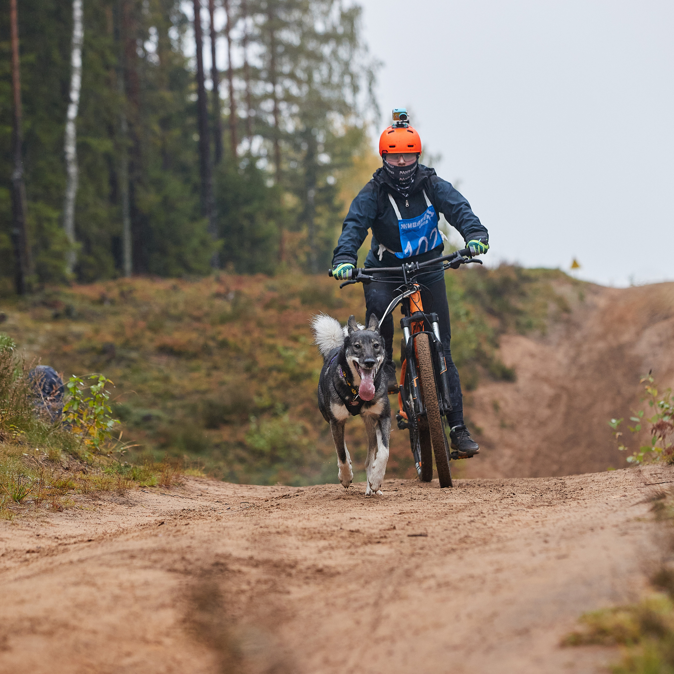ЧЕМПИОНАТ РОССИИ РКФ 25–26 сентября 2021 г. ФОТОГРАФ-АНИМАЛИСТ l LANA POLYAKOVA