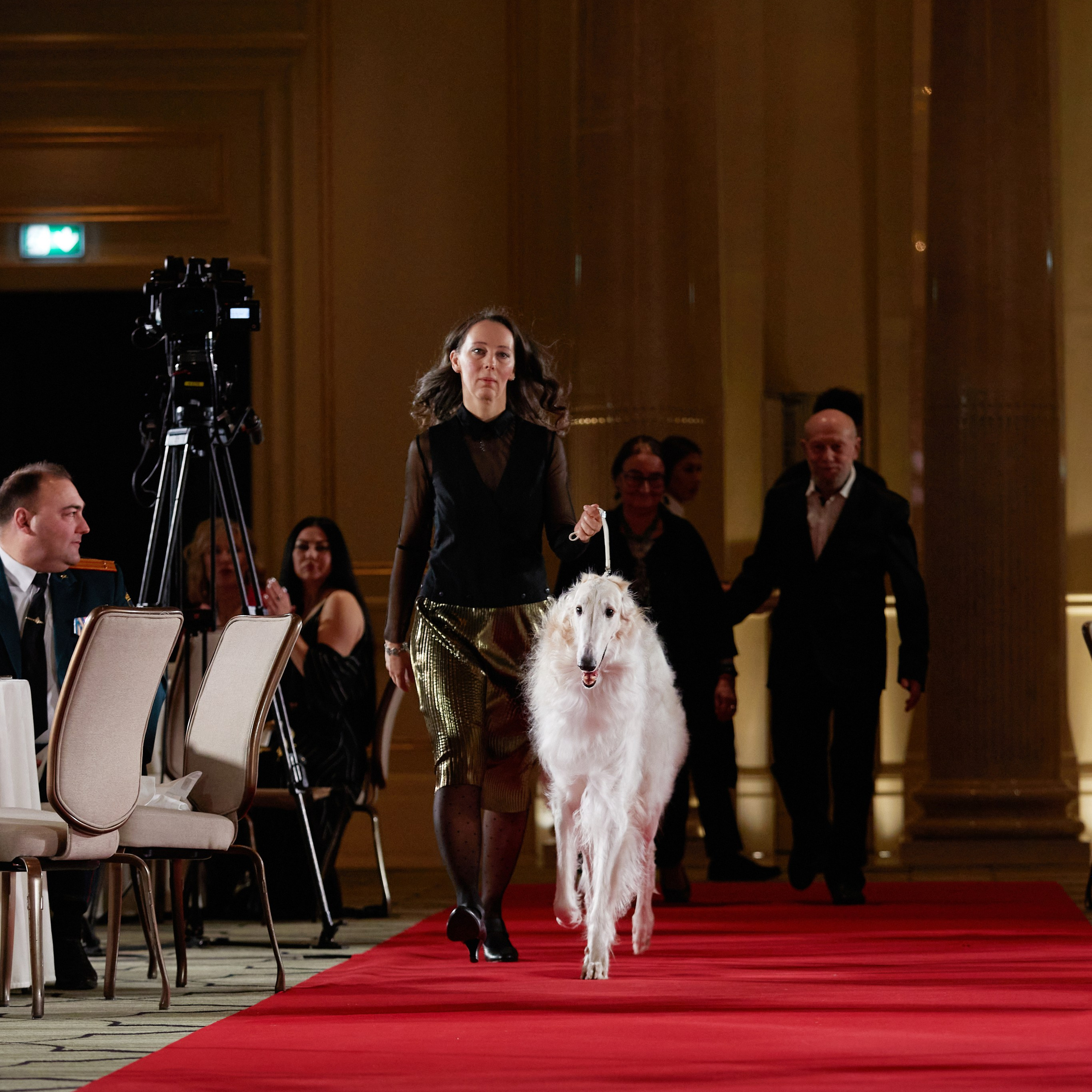 Репортаж с церемонии «BEST RUSSIAN DOG 2023». ФОТОГРАФ-АНИМАЛИСТ l LANA POLYAKOVA