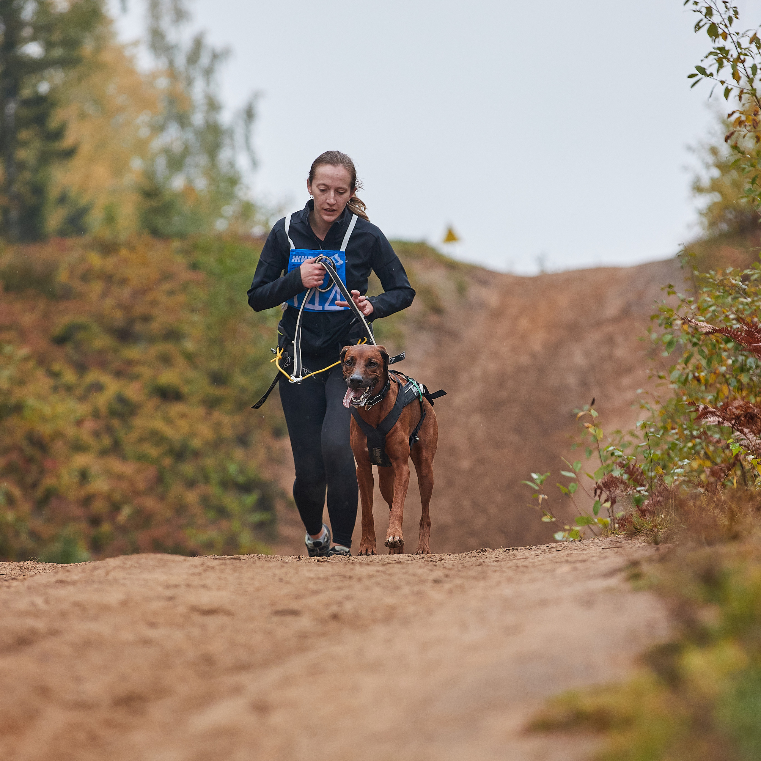 ЧЕМПИОНАТ РОССИИ РКФ 25–26 сентября 2021 г. ФОТОГРАФ-АНИМАЛИСТ l LANA POLYAKOVA