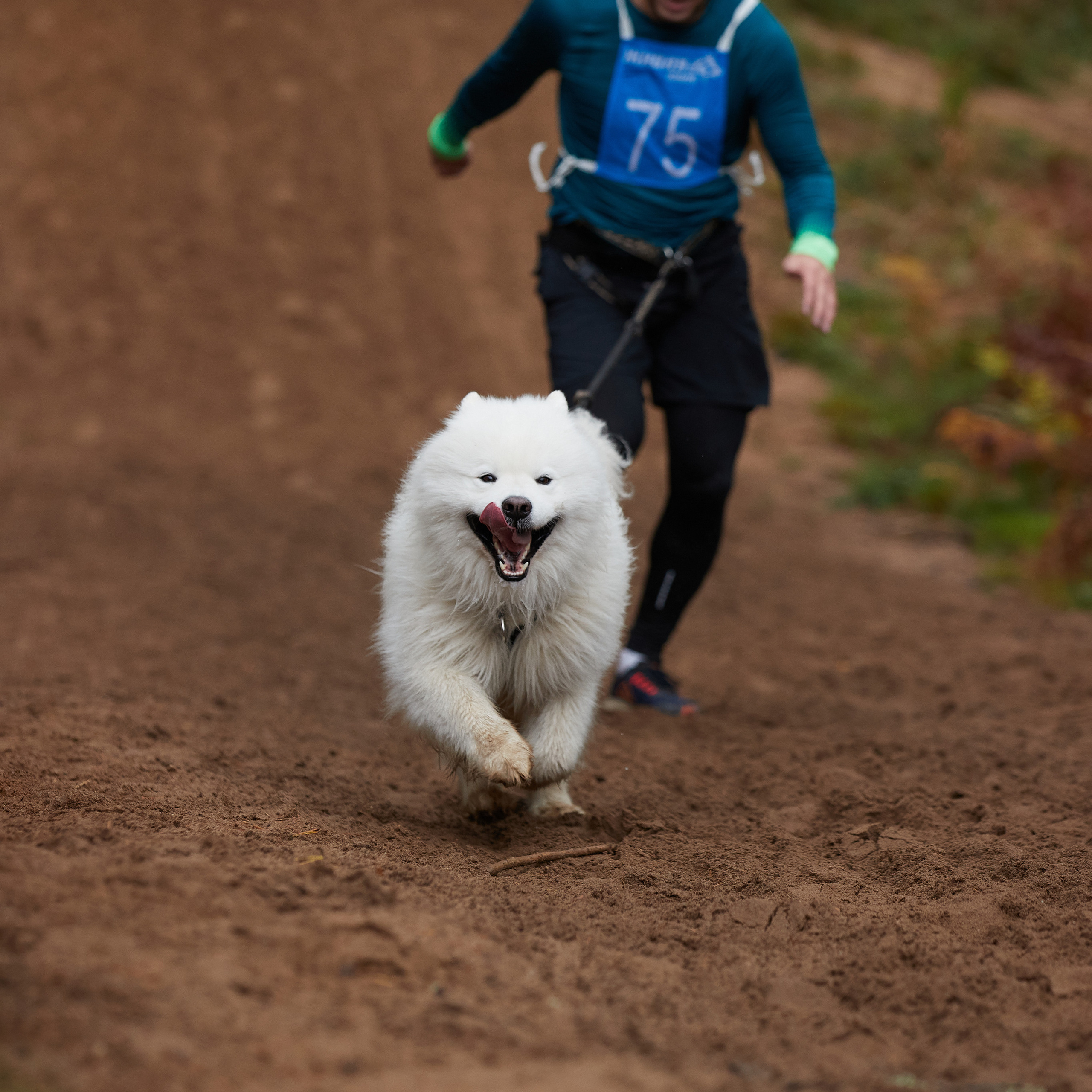 ЧЕМПИОНАТ РОССИИ РКФ 25–26 сентября 2021 г. ФОТОГРАФ-АНИМАЛИСТ l LANA POLYAKOVA