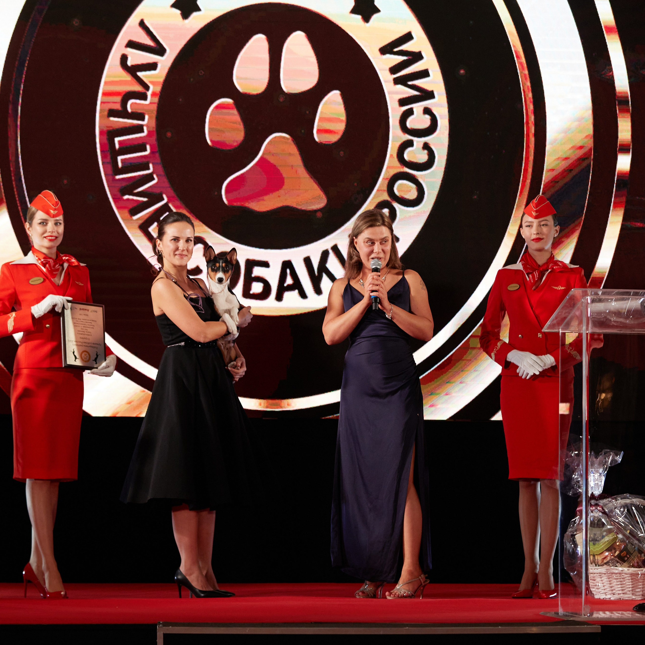 Репортаж с церемонии «BEST RUSSIAN DOG 2023». ФОТОГРАФ-АНИМАЛИСТ l LANA POLYAKOVA