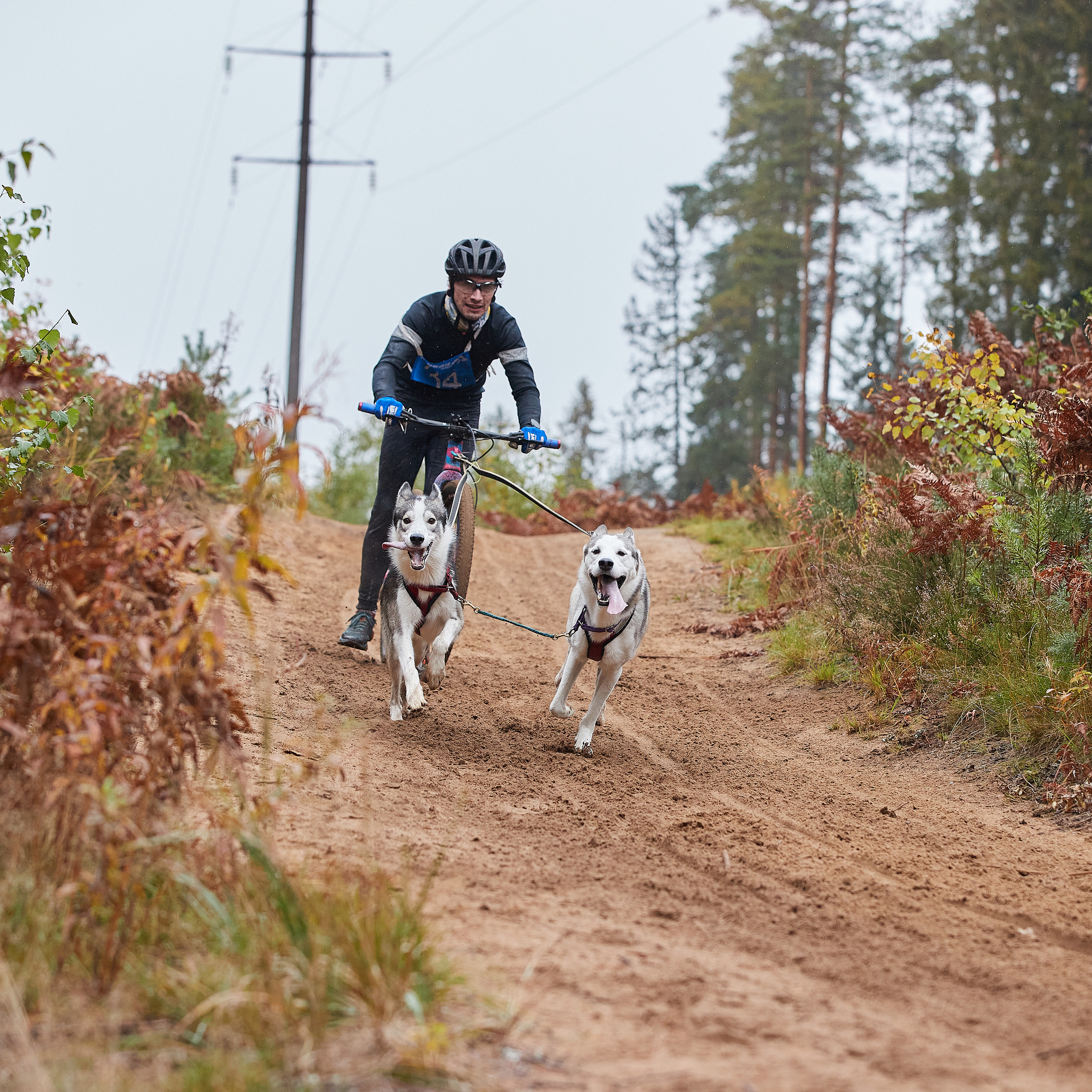 ЧЕМПИОНАТ РОССИИ РКФ 25–26 сентября 2021 г. ФОТОГРАФ-АНИМАЛИСТ l LANA POLYAKOVA