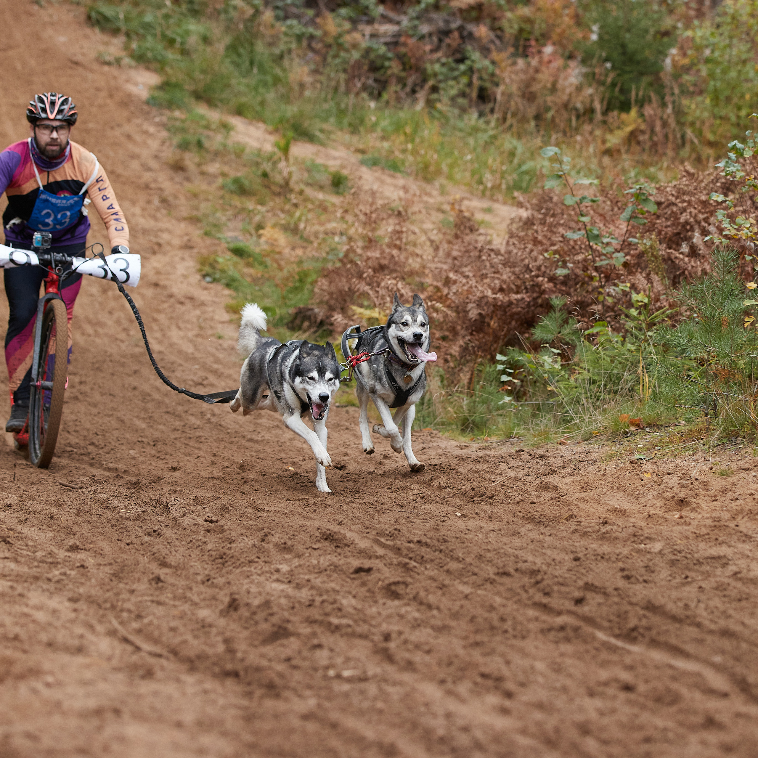 ЧЕМПИОНАТ РОССИИ РКФ 25–26 сентября 2021 г. ФОТОГРАФ-АНИМАЛИСТ l LANA POLYAKOVA