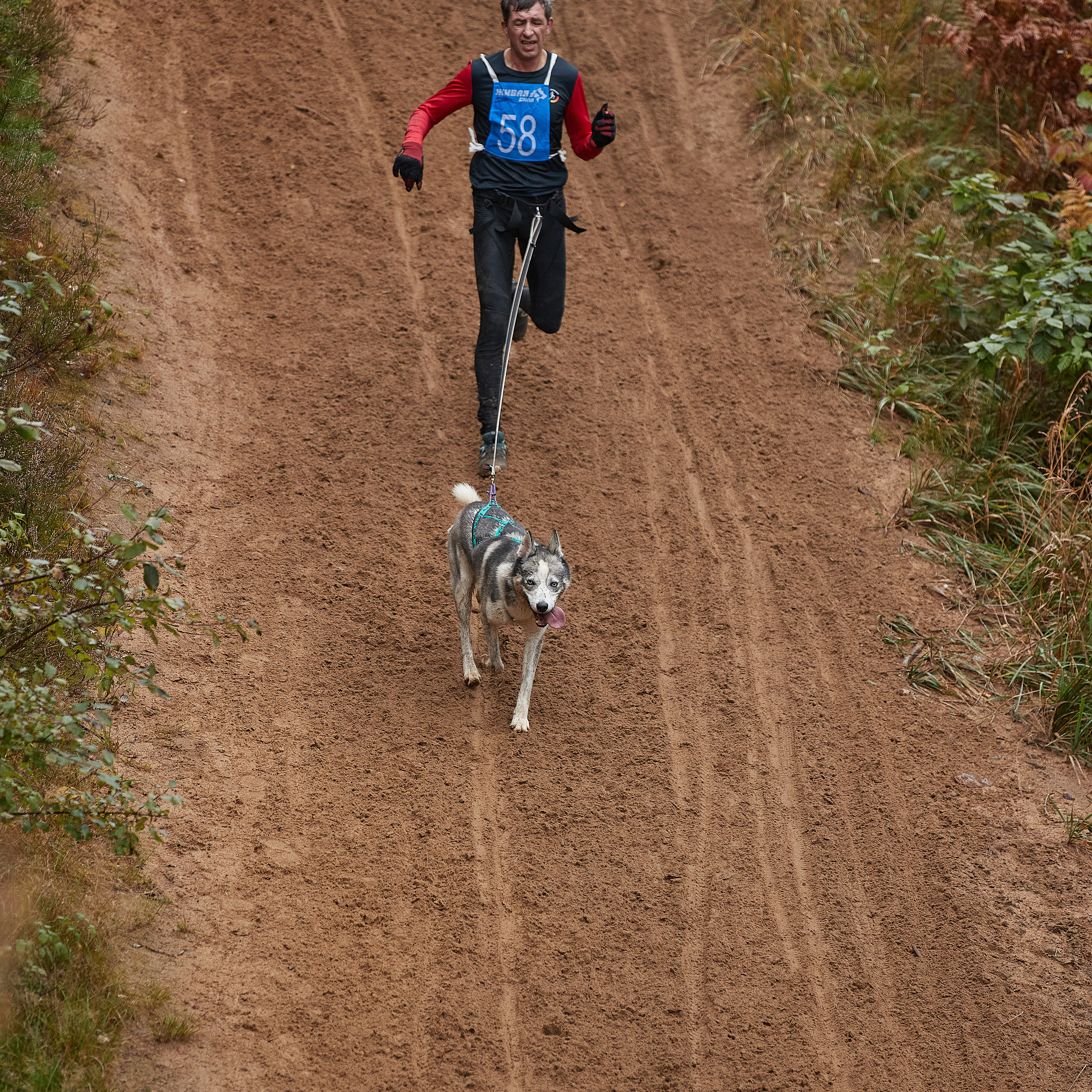 ЧЕМПИОНАТ РОССИИ РКФ 25–26 сентября 2021 г. ФОТОГРАФ-АНИМАЛИСТ l LANA POLYAKOVA