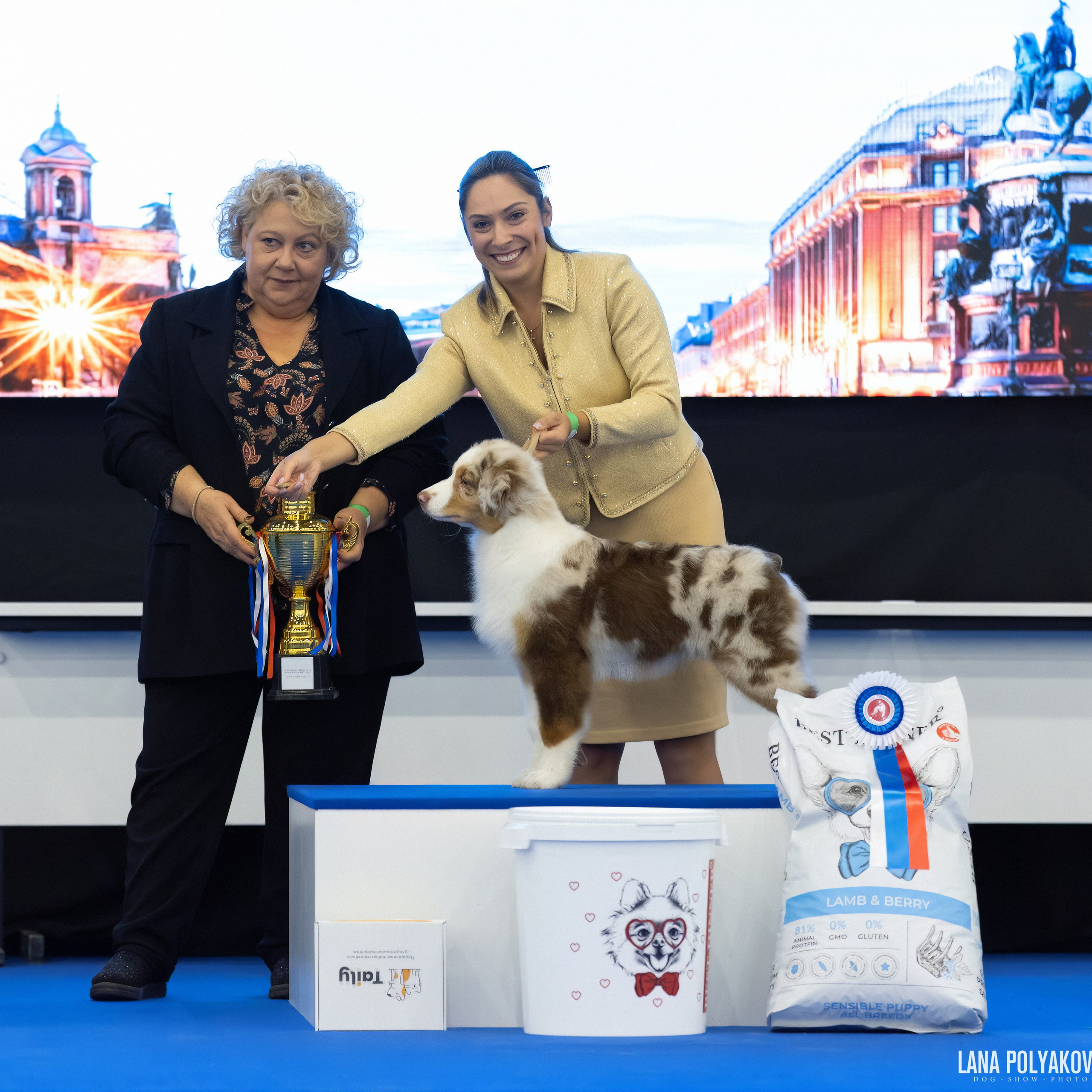 ВЫСТАВКА СОБАК С ОСОБЫМ СТАТУСОМ «НЕВСКИЙ ПОБЕДИТЕЛЬ» 12-13-14.12.2025. ФОТОГРАФ-АНИМАЛИСТ l LANA POLYAKOVA
