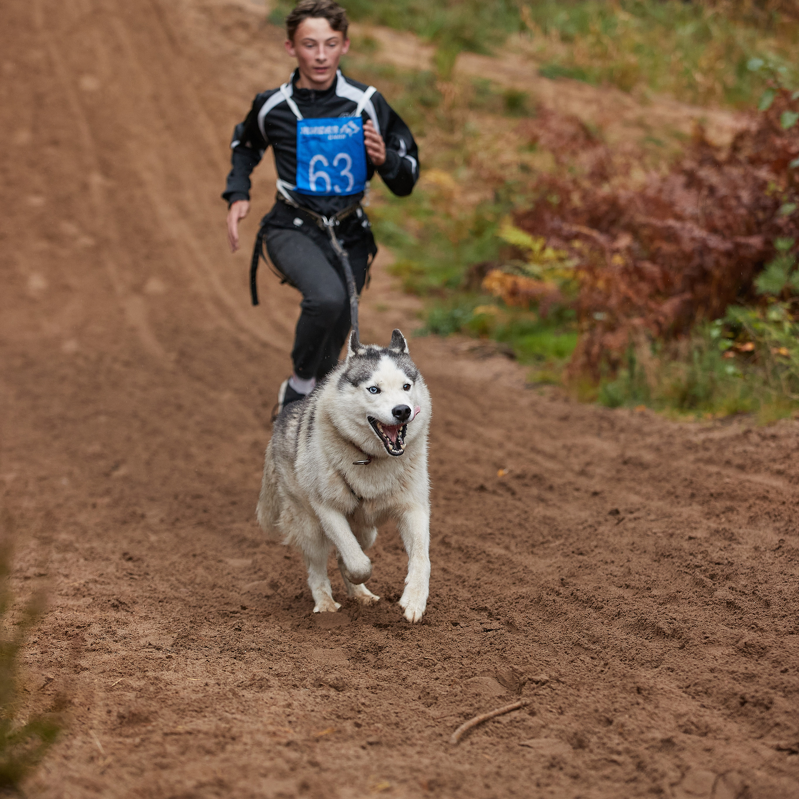 ЧЕМПИОНАТ РОССИИ РКФ 25–26 сентября 2021 г. ФОТОГРАФ-АНИМАЛИСТ l LANA POLYAKOVA
