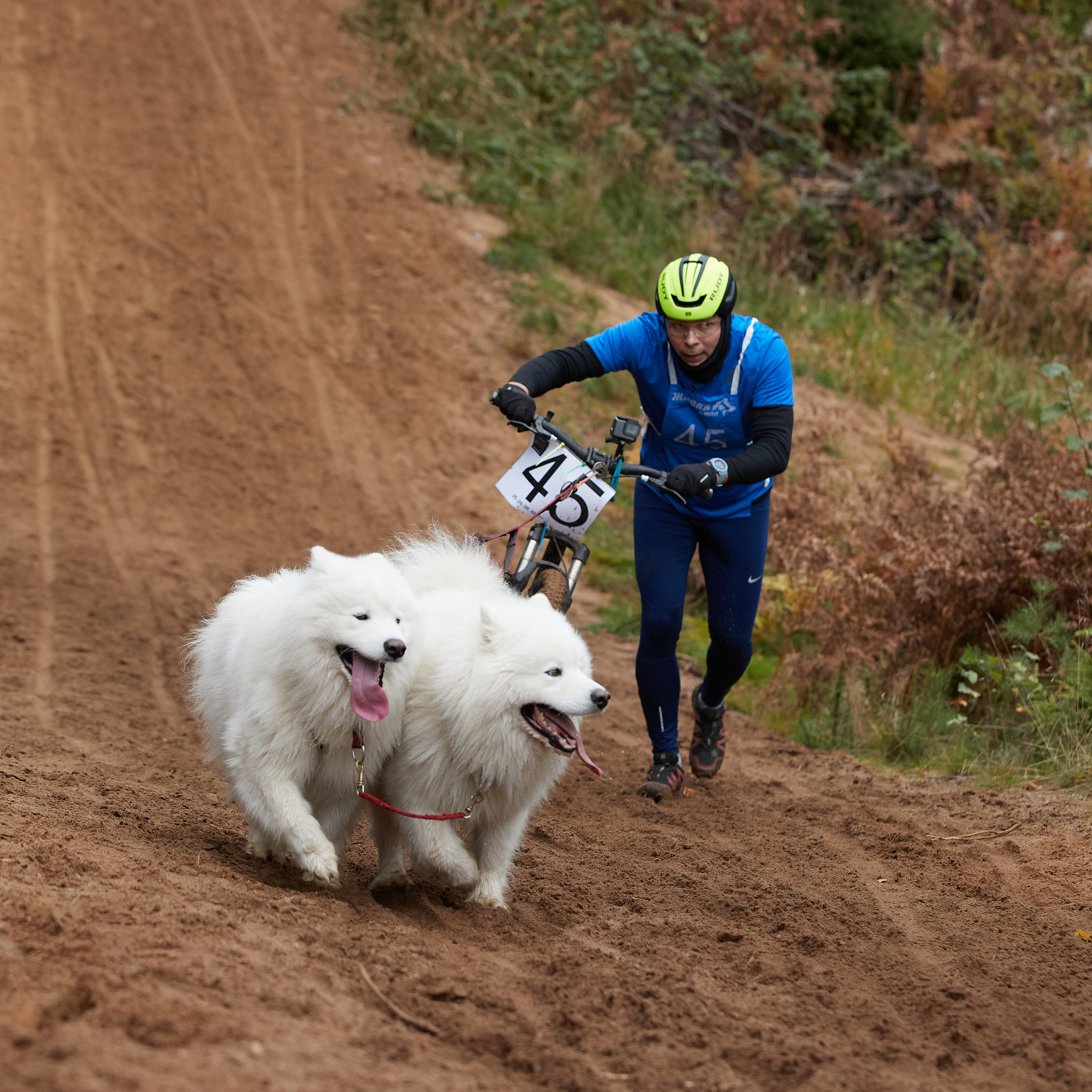 ЧЕМПИОНАТ РОССИИ РКФ 25–26 сентября 2021 г. ФОТОГРАФ-АНИМАЛИСТ l LANA POLYAKOVA