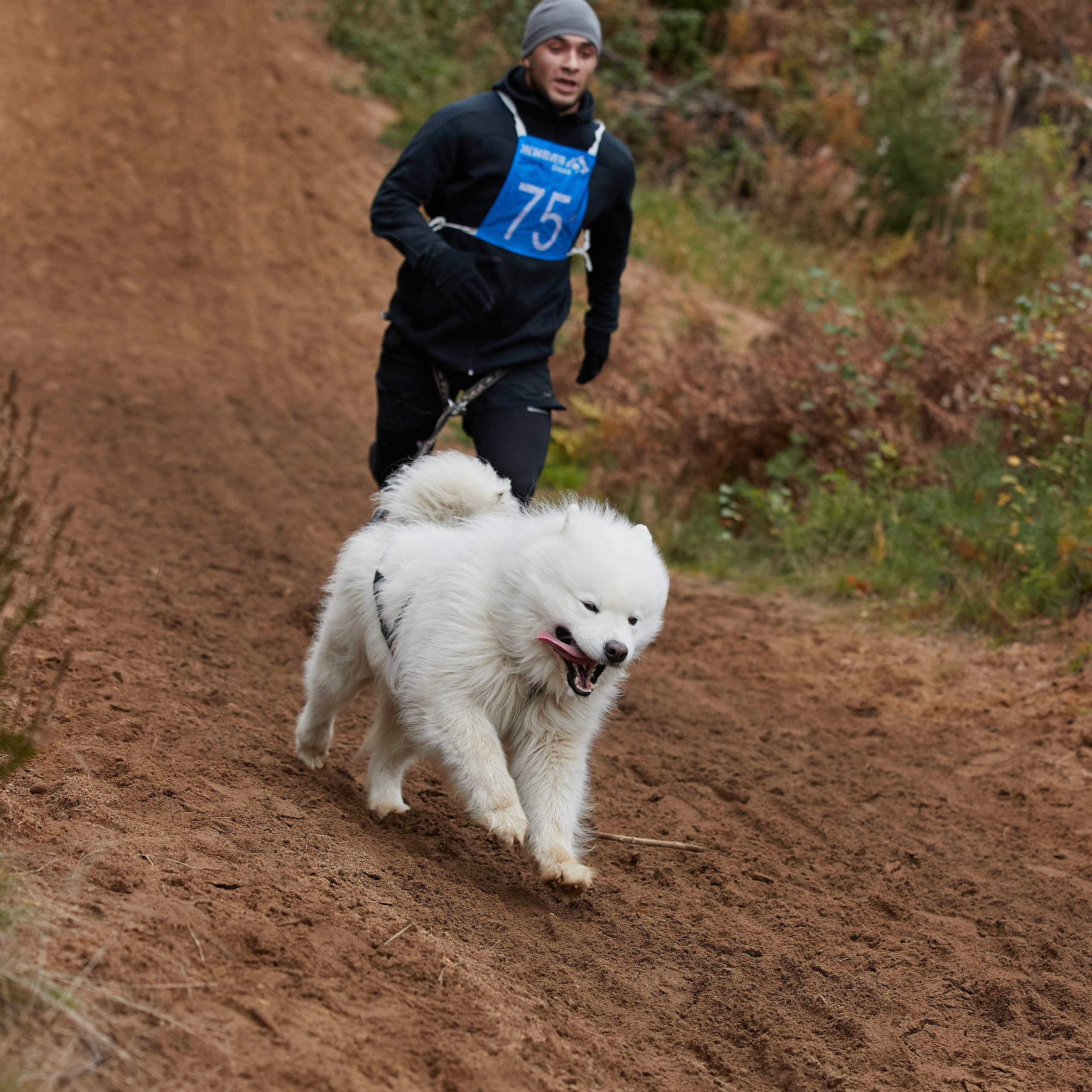 ЧЕМПИОНАТ РОССИИ РКФ 25–26 сентября 2021 г. ФОТОГРАФ-АНИМАЛИСТ l LANA POLYAKOVA