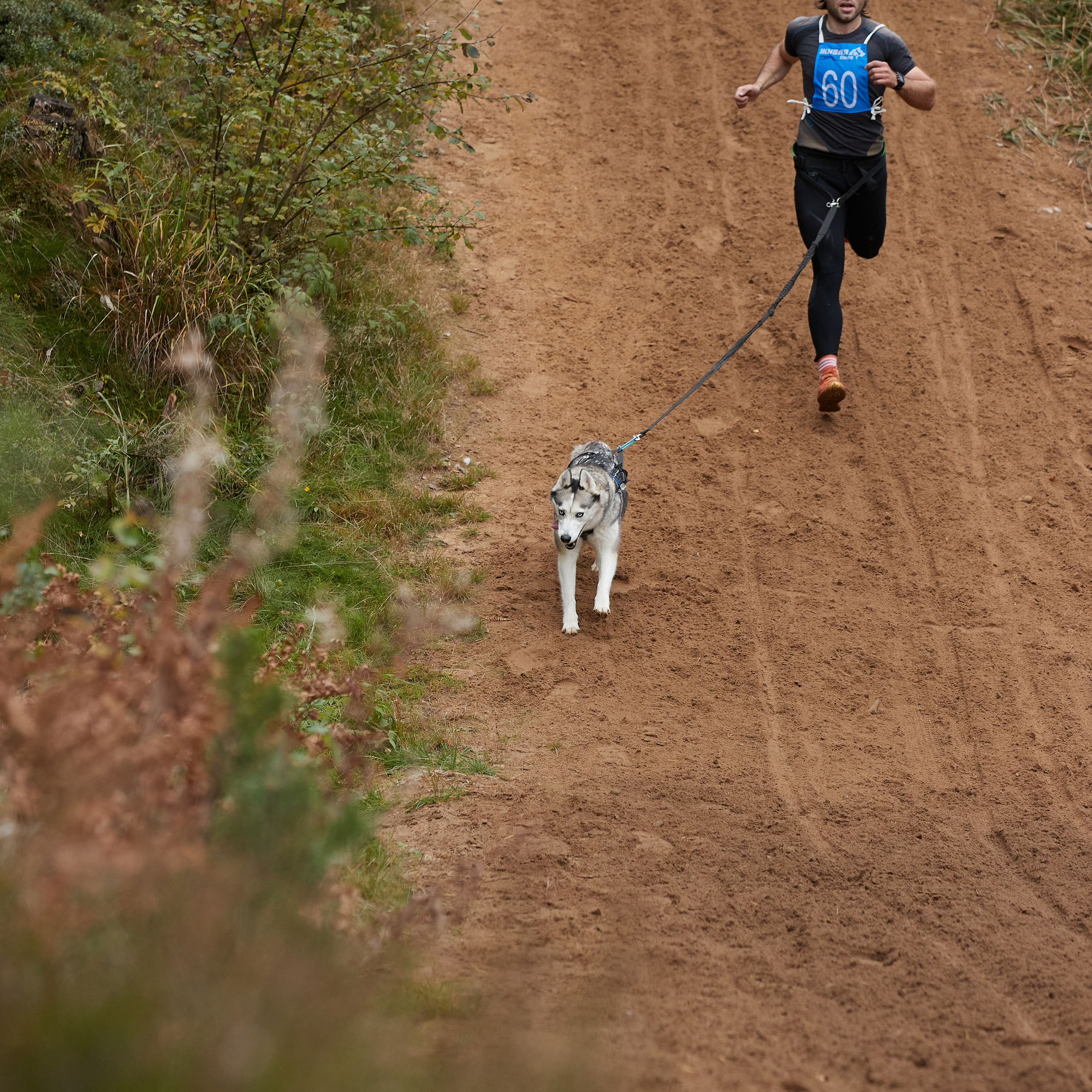 ЧЕМПИОНАТ РОССИИ РКФ 25–26 сентября 2021 г. ФОТОГРАФ-АНИМАЛИСТ l LANA POLYAKOVA