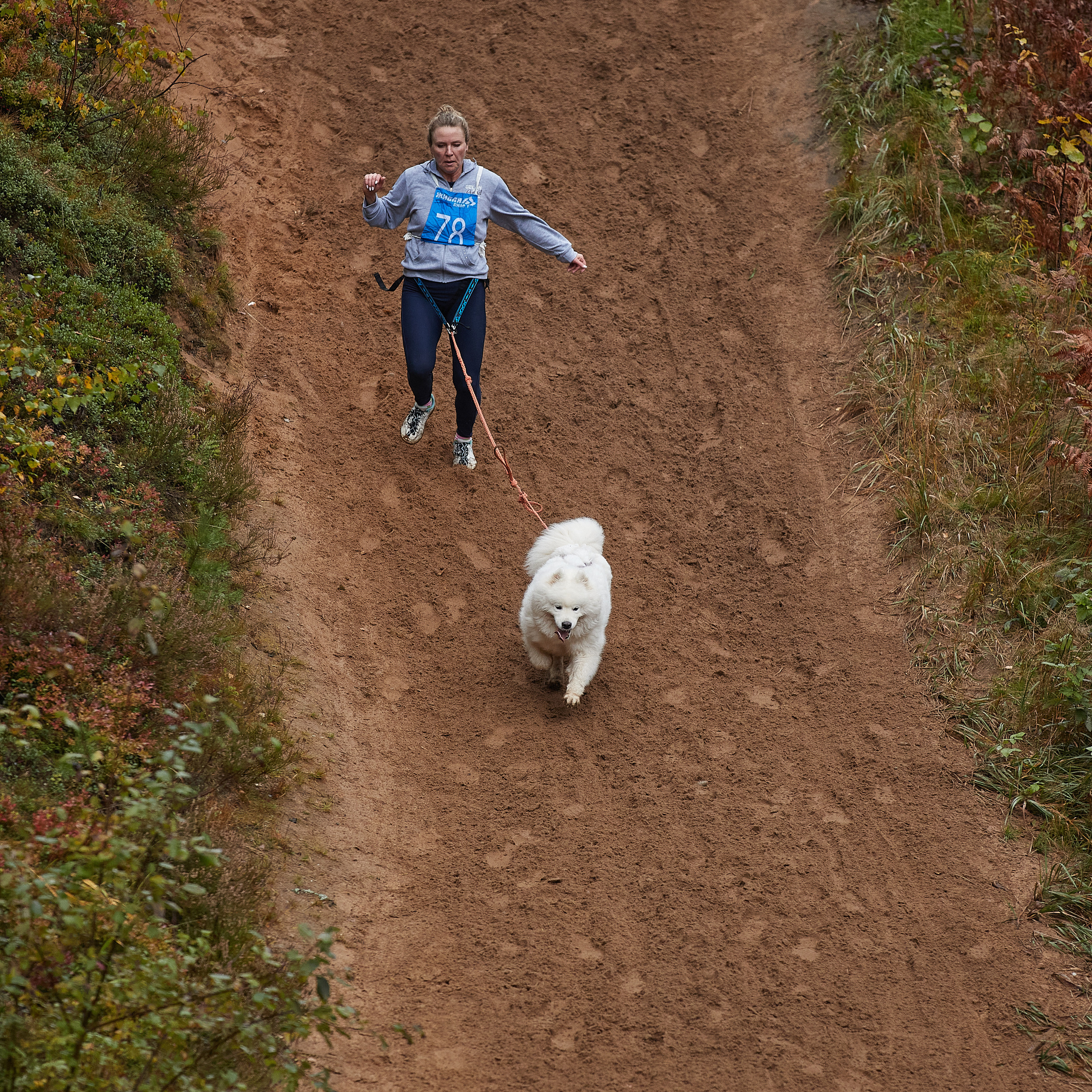 ЧЕМПИОНАТ РОССИИ РКФ 25–26 сентября 2021 г. ФОТОГРАФ-АНИМАЛИСТ l LANA POLYAKOVA