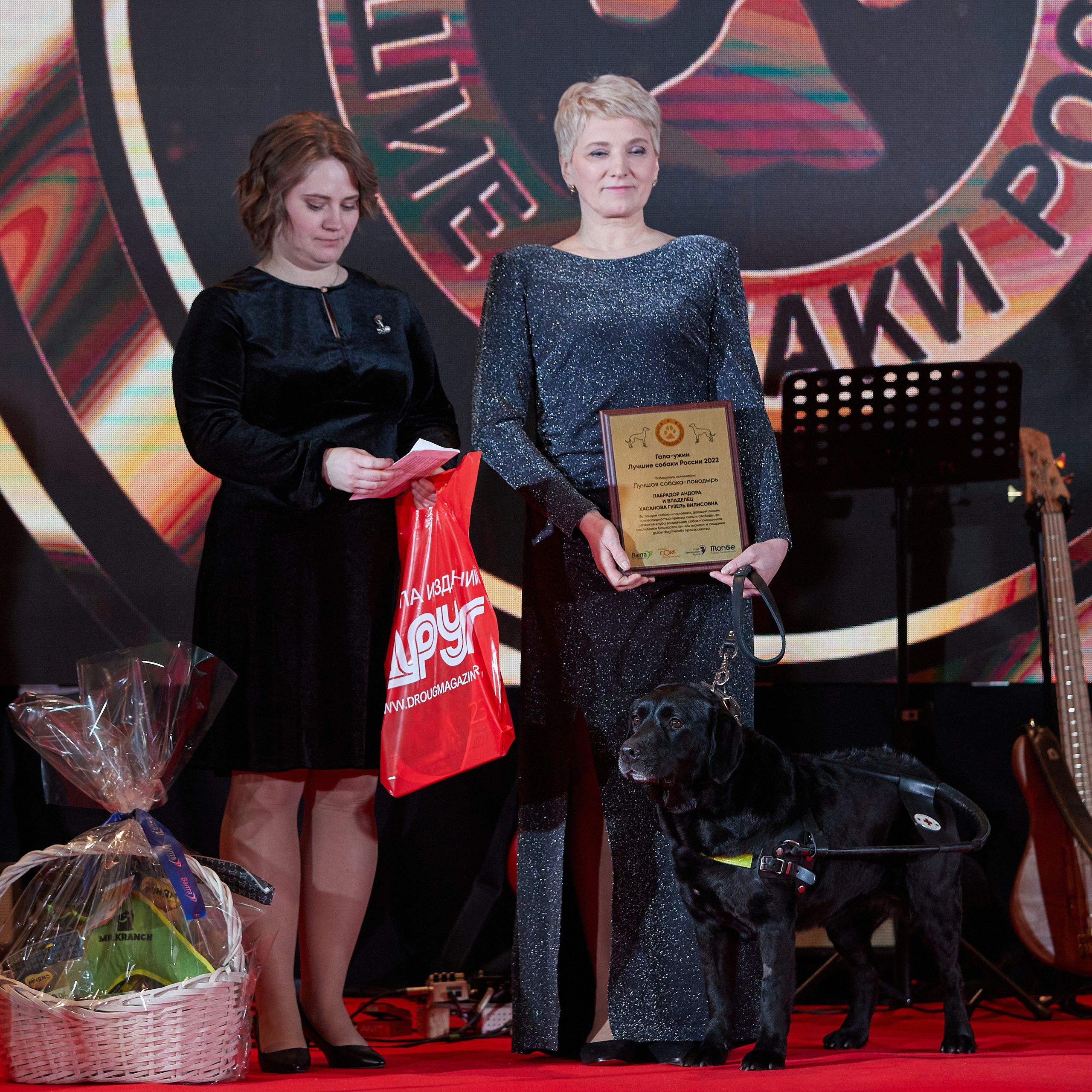 Репортаж с церемонии «BEST RUSSIAN DOG 2022». ФОТОГРАФ-АНИМАЛИСТ l LANA POLYAKOVA